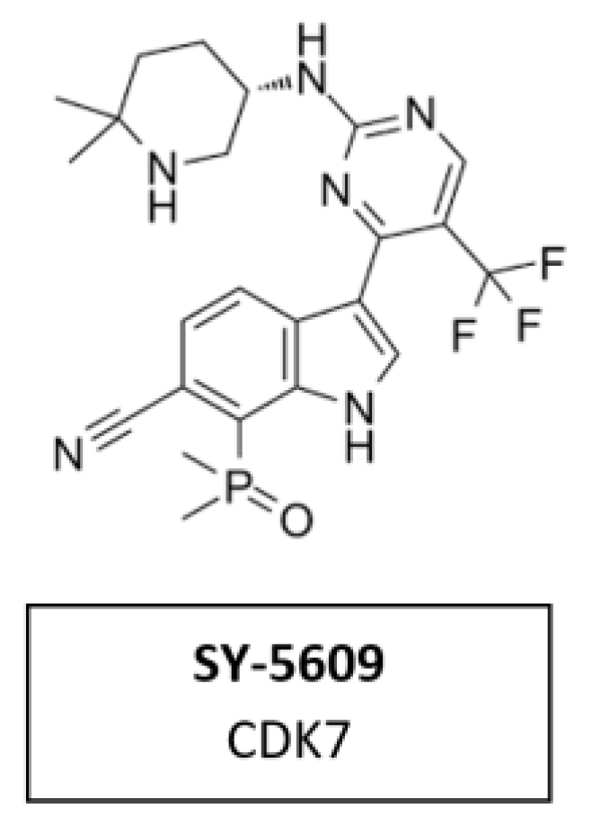 Cancers 14 00293 g014 Cancers 14 00293 g014