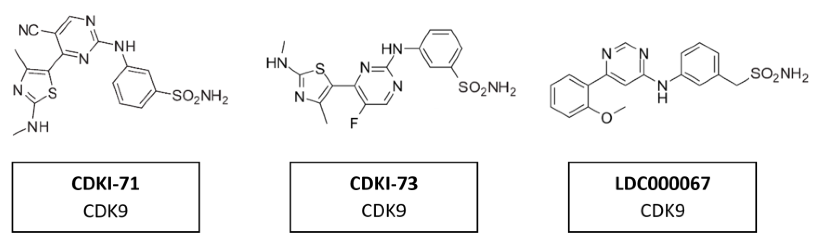 Cancers 14 00293 g016 Cancers 14 00293 g016