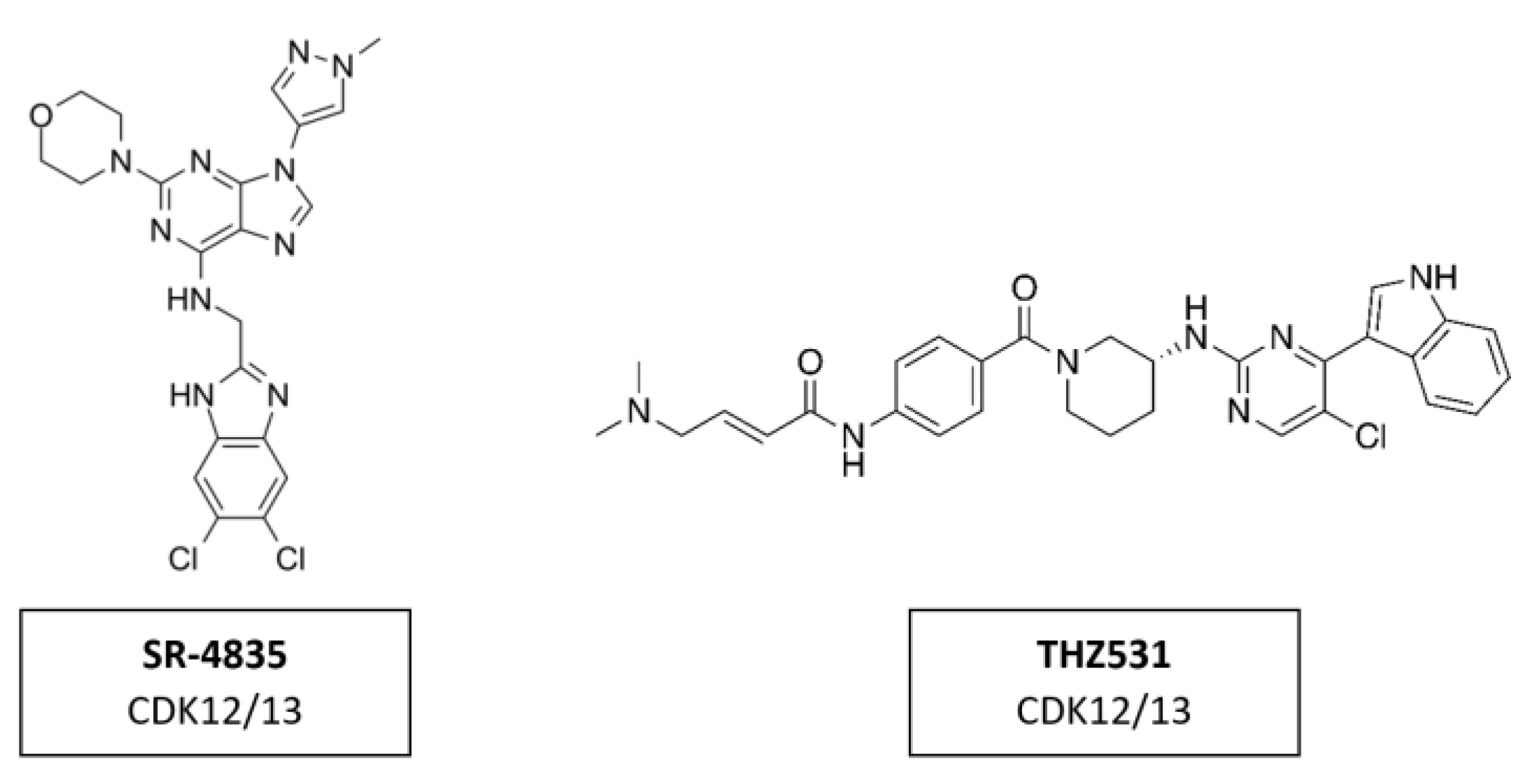 Cancers 14 00293 g018 Cancers 14 00293 g018