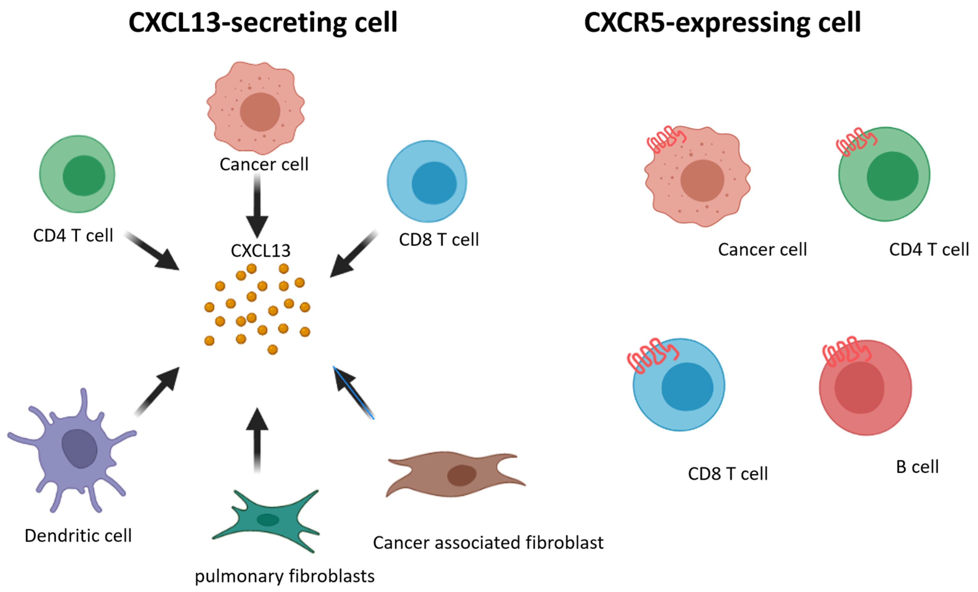 Cancers 14 00294 g002