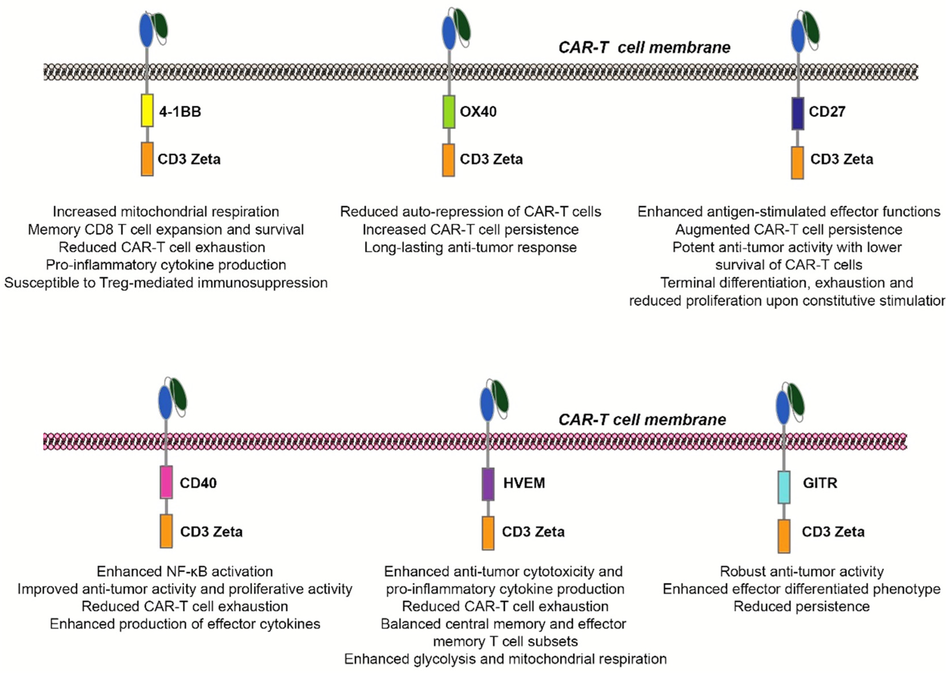 Cancers 14 00299 g002