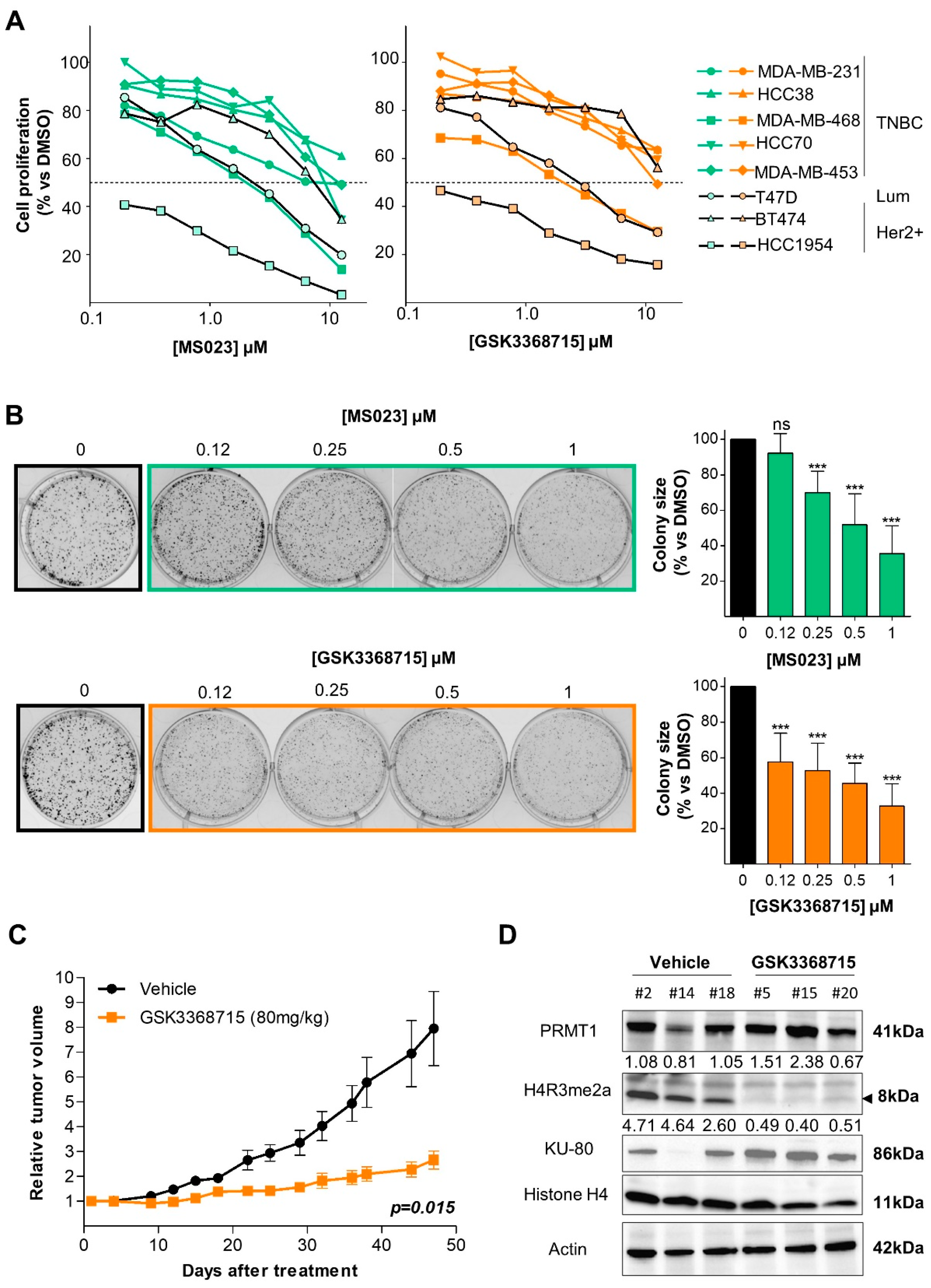 Cancers 14 00306 g003 Cancers 14 00306 g003