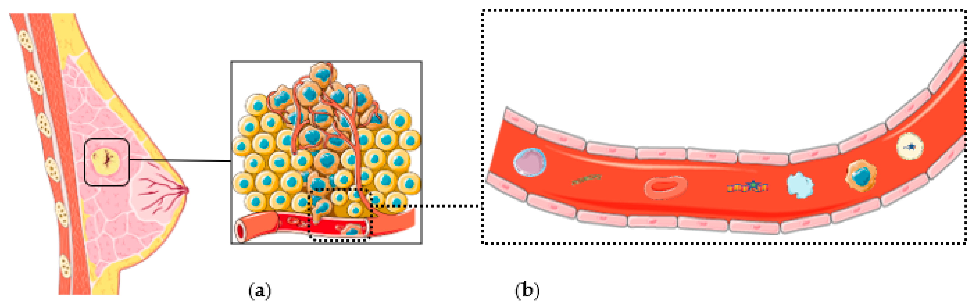 Cancers 14 00310 g001 550