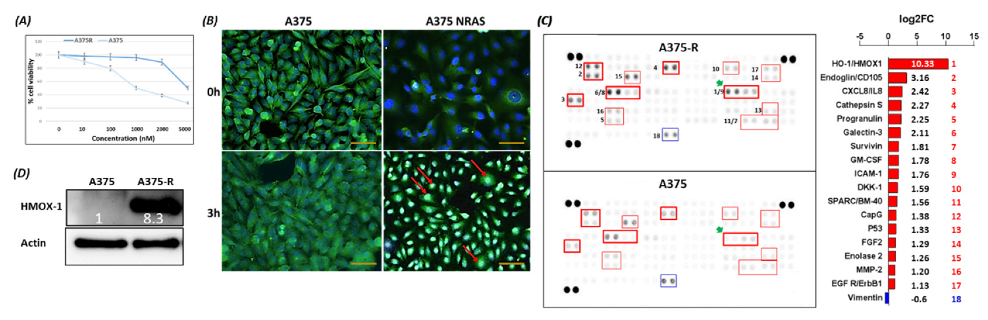Cancers 14 00311 g001