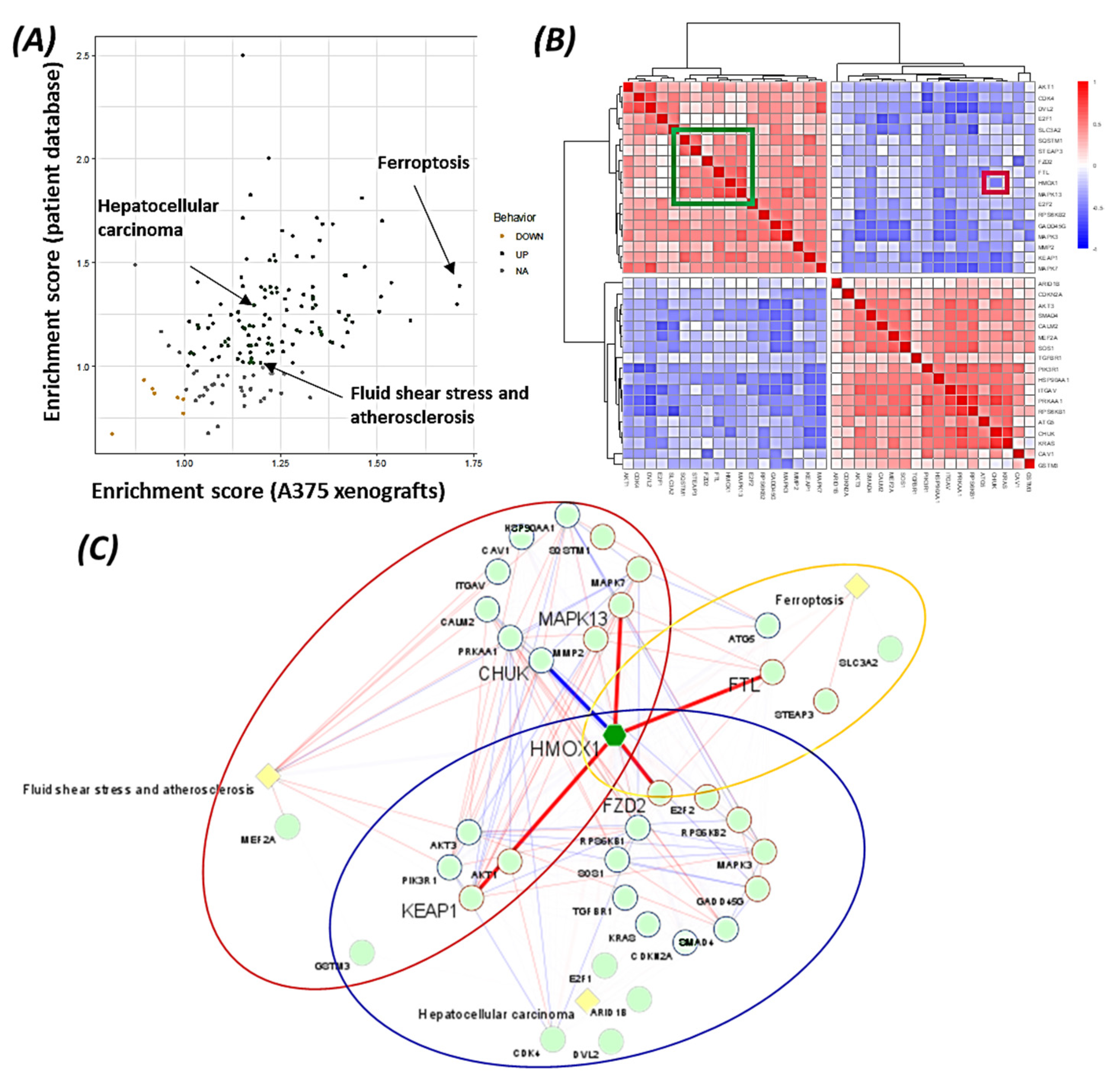 Cancers 14 00311 g006