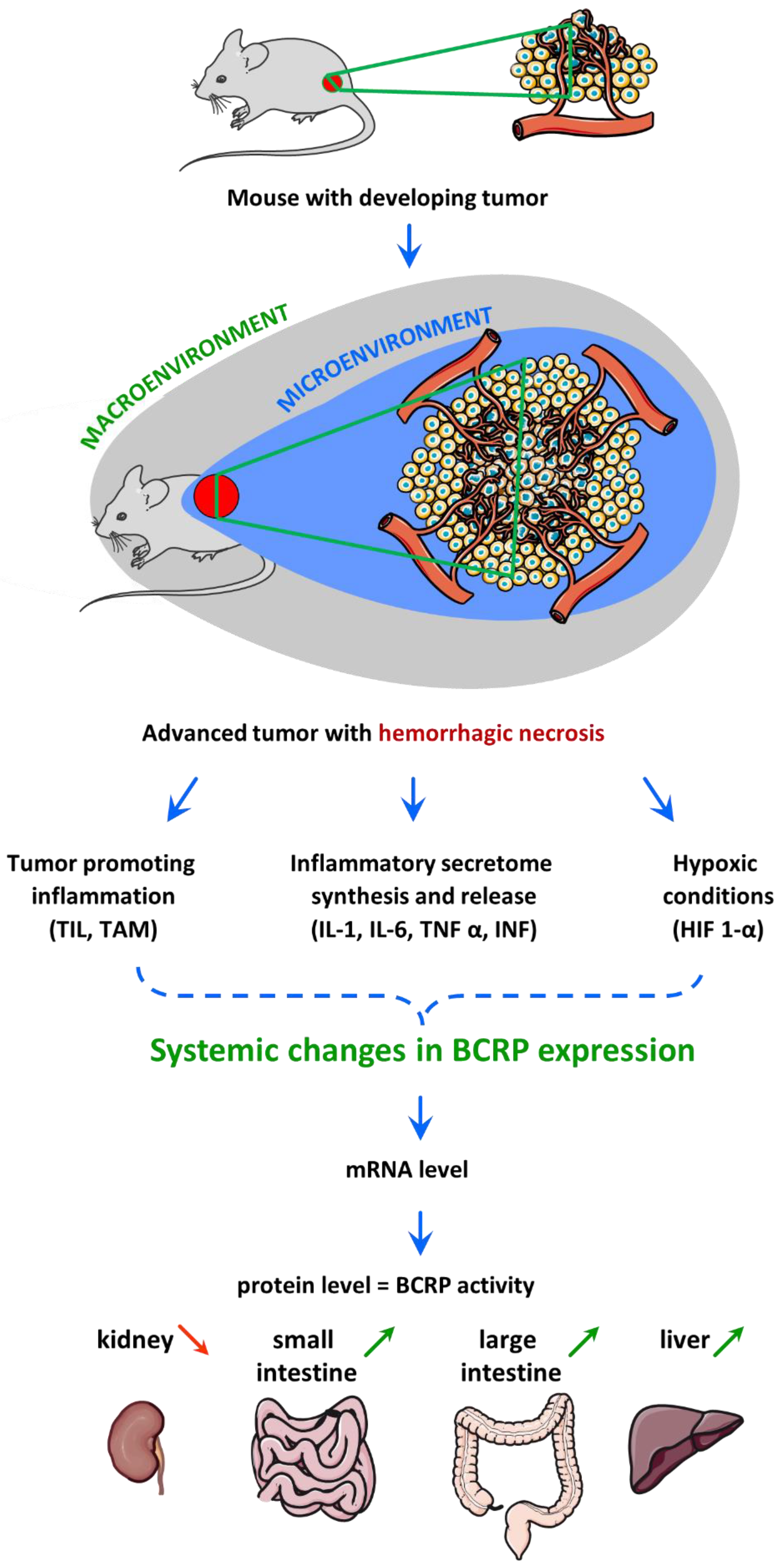 Cancers 14 00313 sch001 550