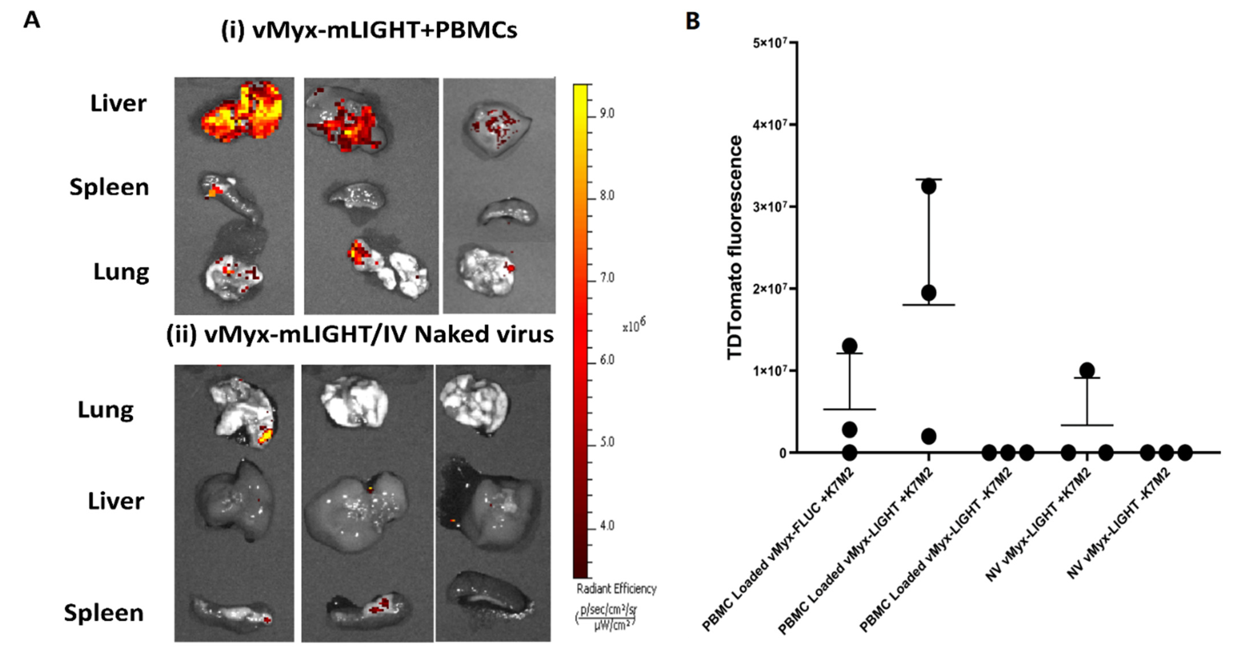 Cancers 14 00337 g004a Cancers 14 00337 g004a