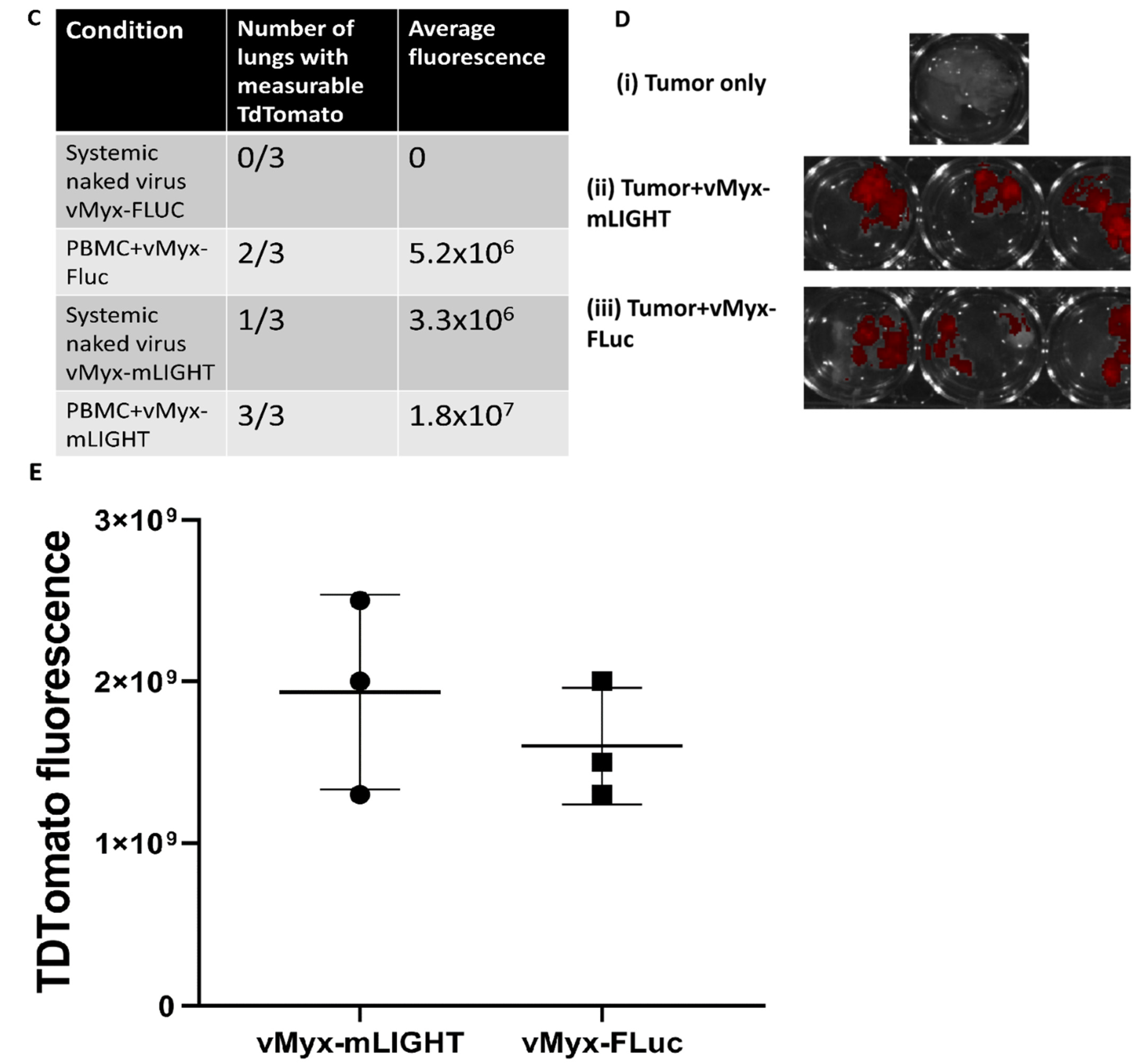 Cancers 14 00337 g004b Cancers 14 00337 g004b