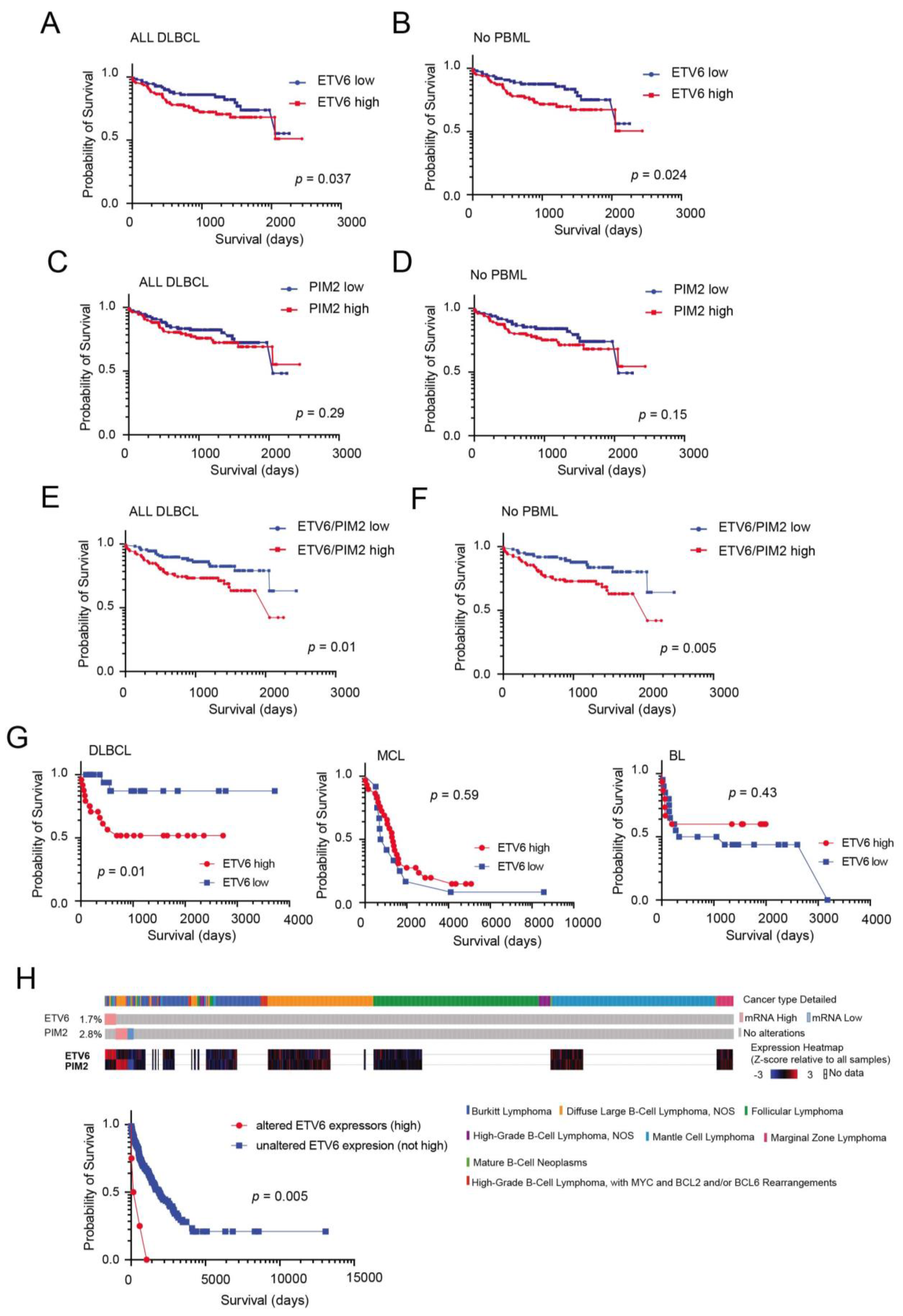 Cancers 14 00338 g004 Cancers 14 00338 g004