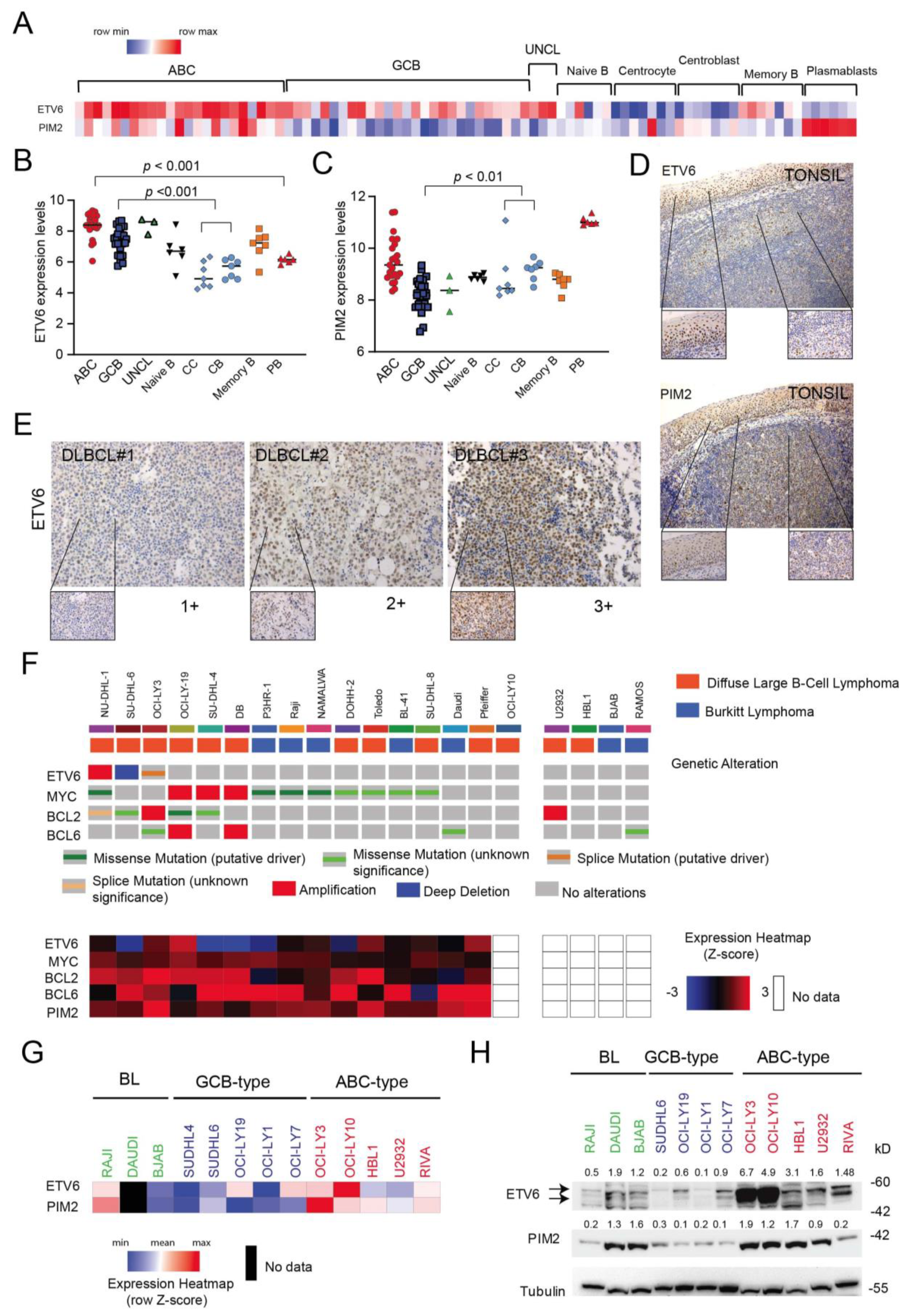 Cancers 14 00338 g005 Cancers 14 00338 g005