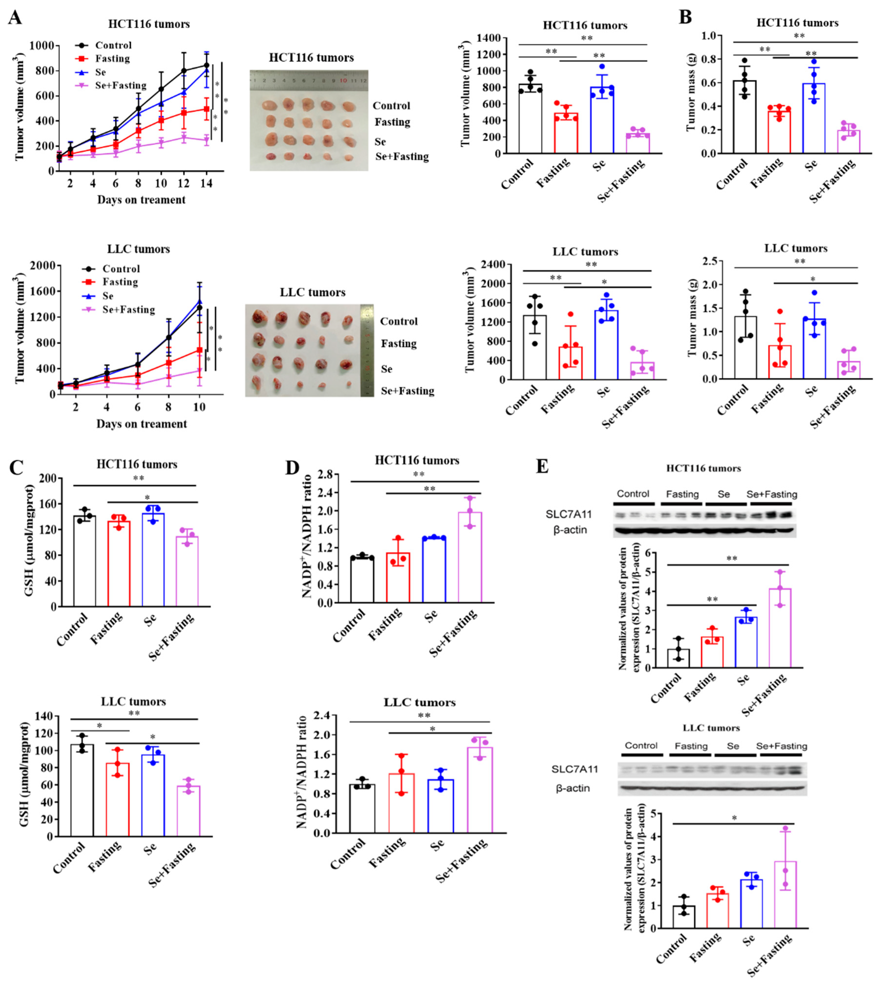 Cancers 14 00345 g006 Cancers 14 00345 g006