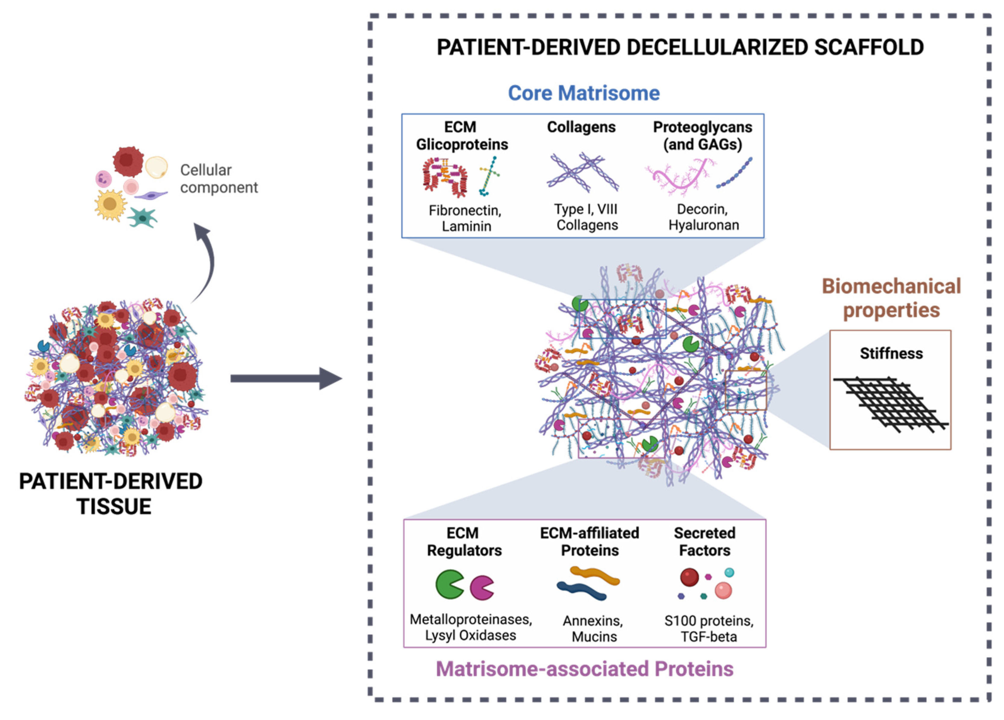 Cancers 14 00359 g002
