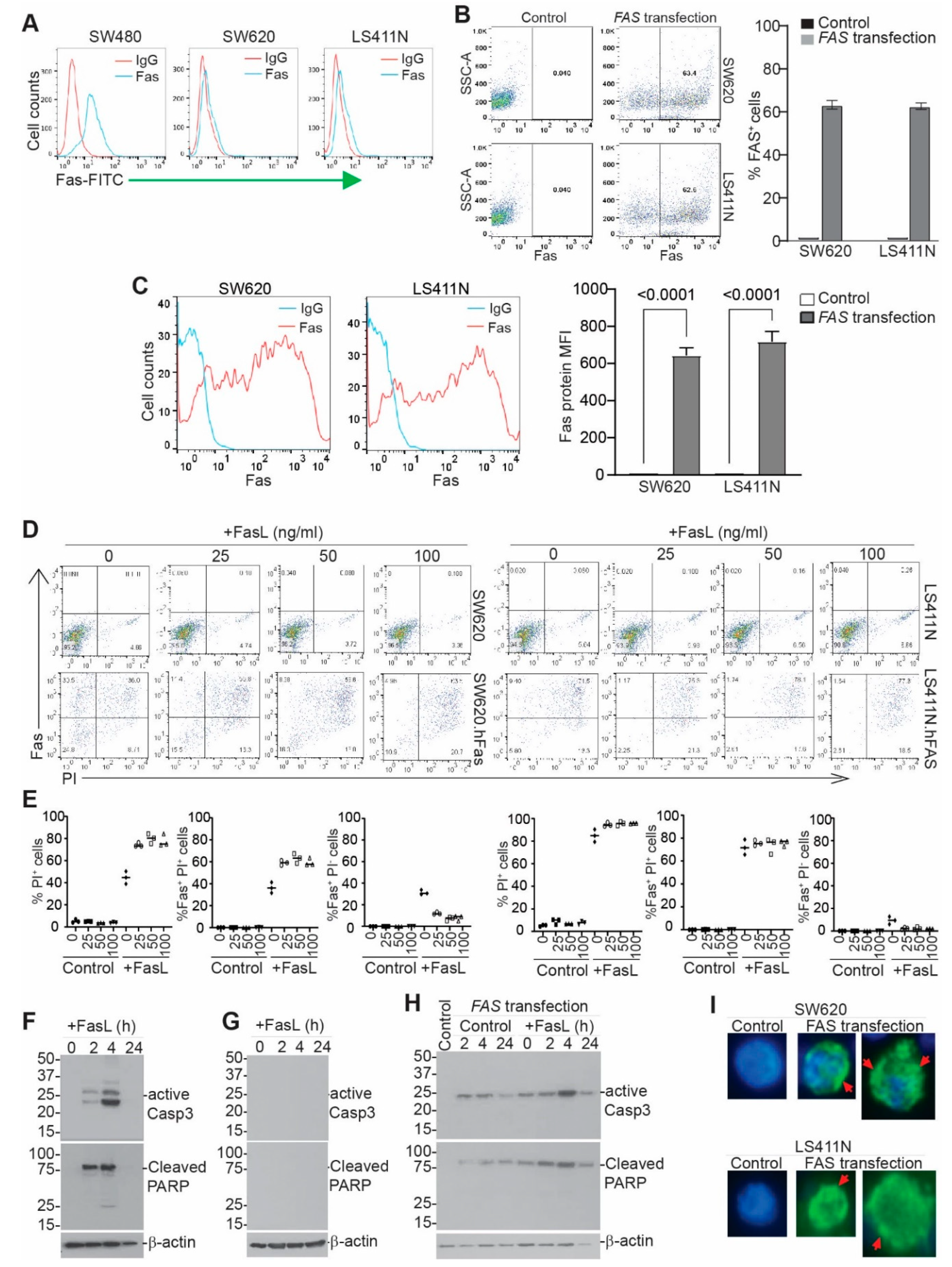 Cancers 14 00361 g006 Cancers 14 00361 g006