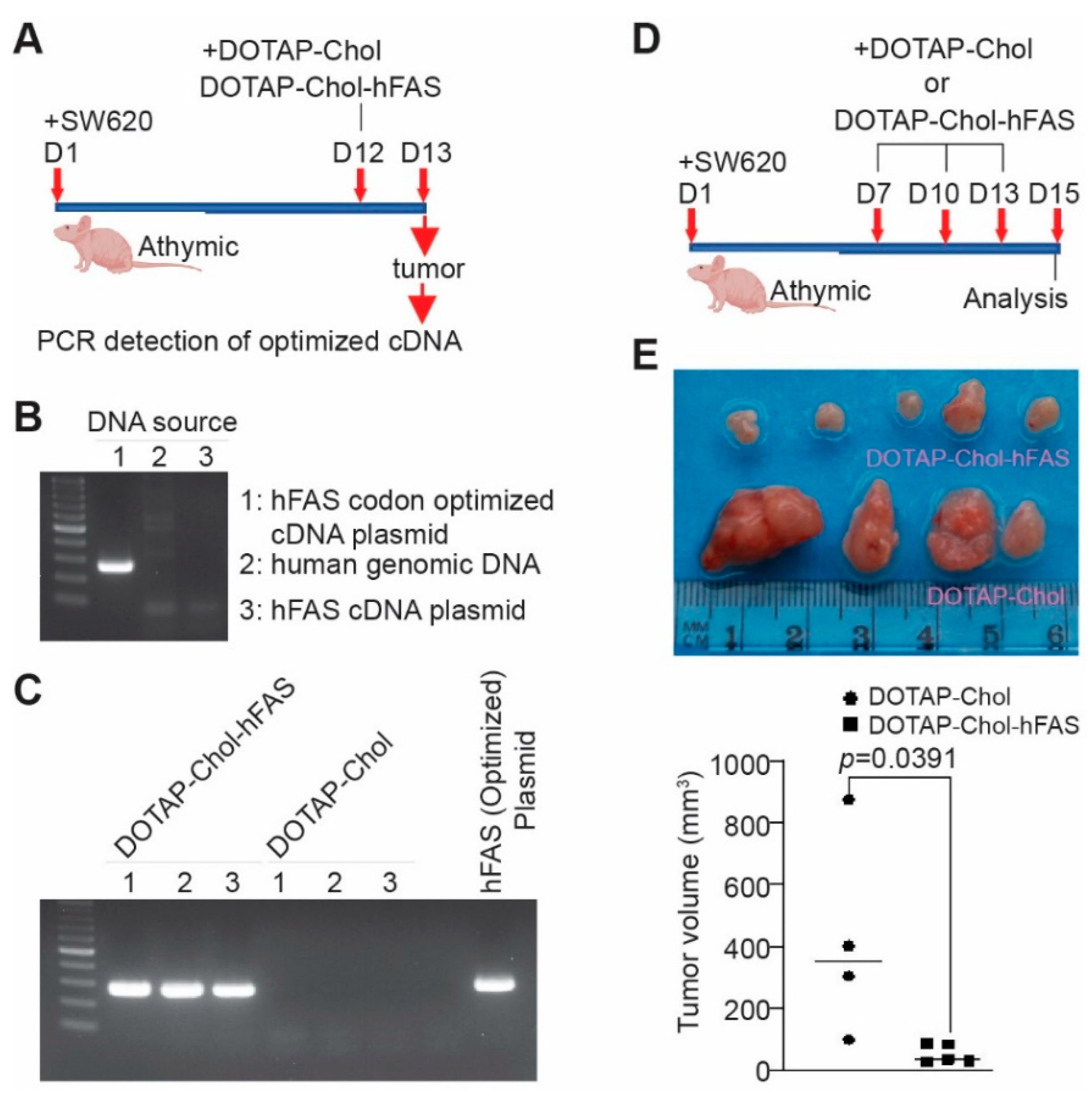 Cancers 14 00361 g007 Cancers 14 00361 g007