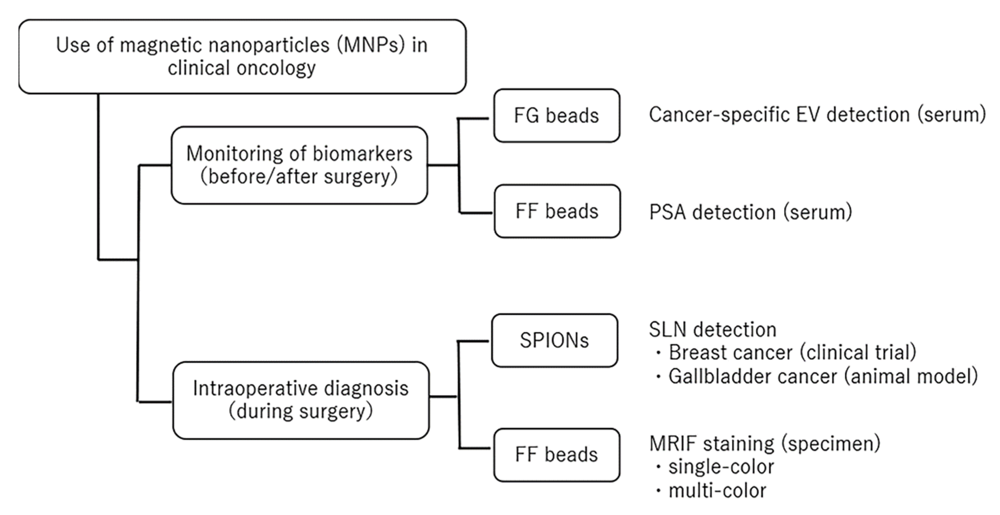 Cancers 14 00364 g001