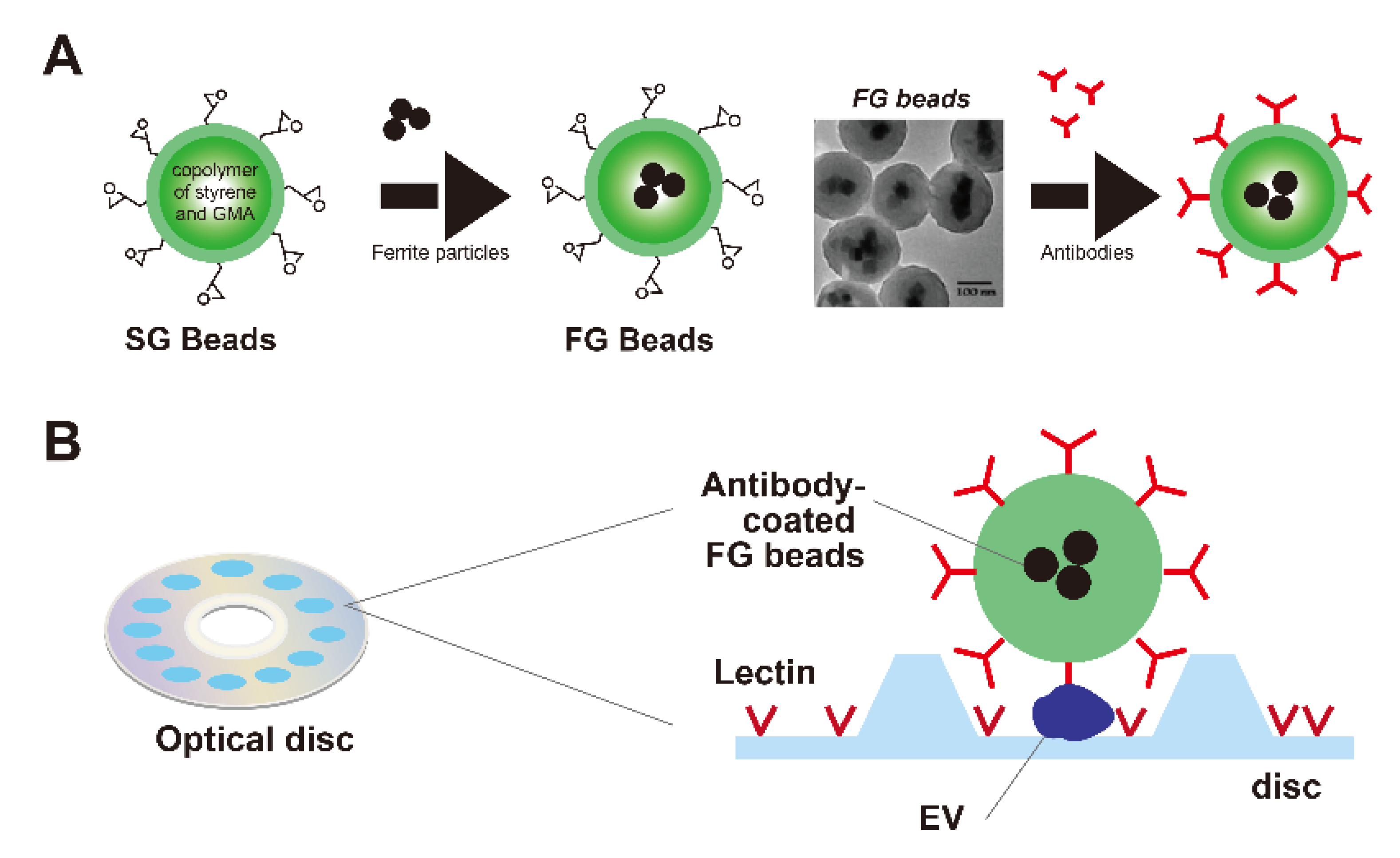 Cancers 14 00364 g002