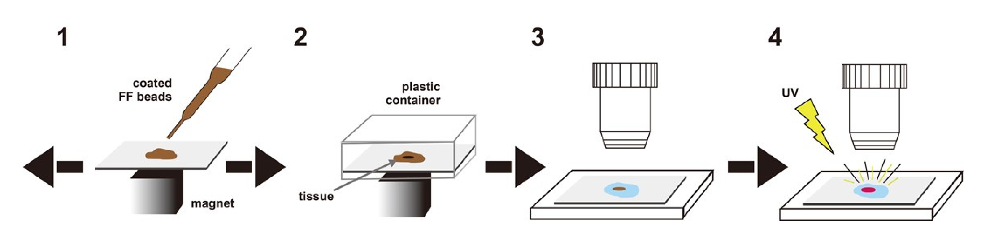 Cancers 14 00364 g006