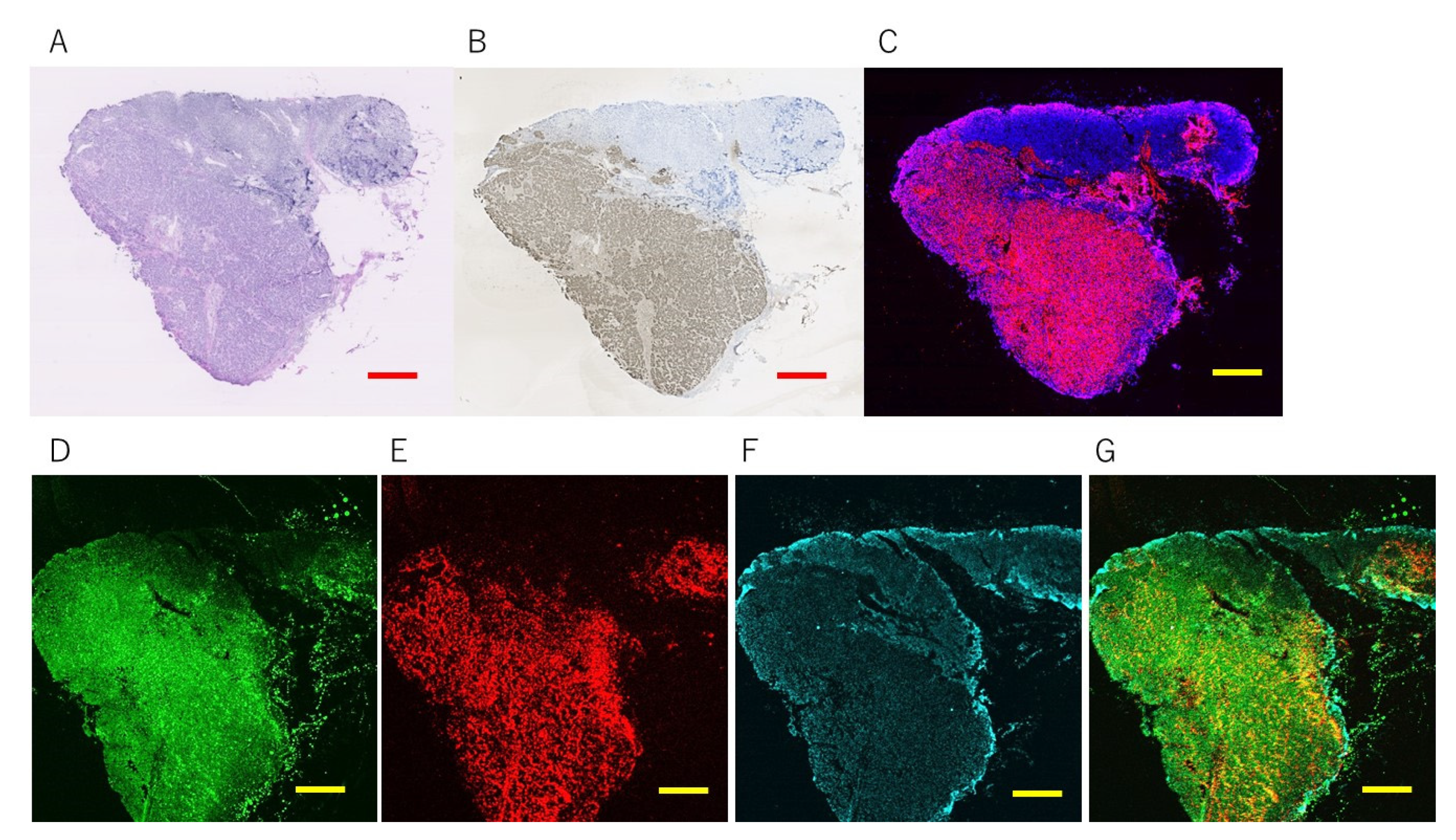 Cancers 14 00364 g008