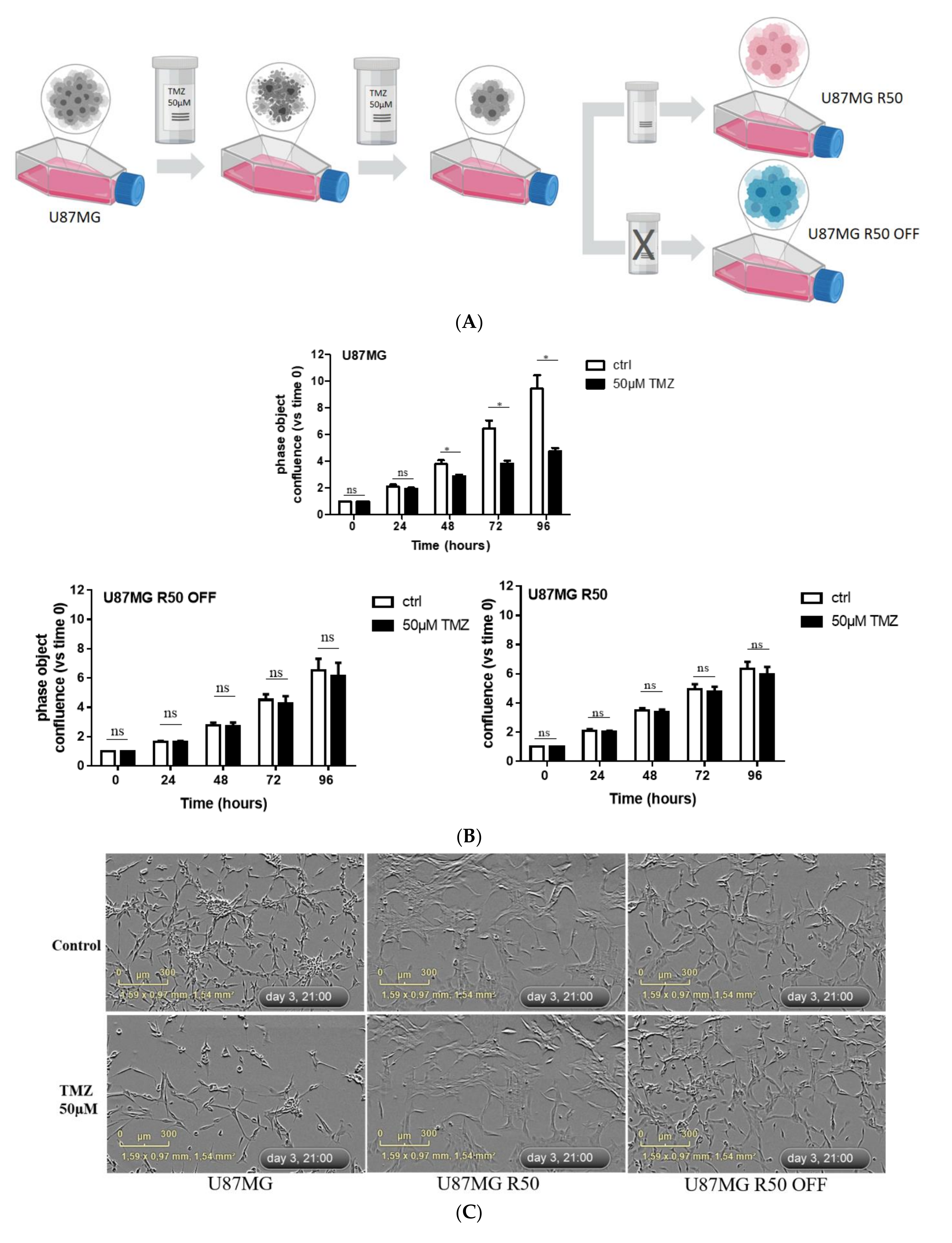 Cancers 14 00369 g001