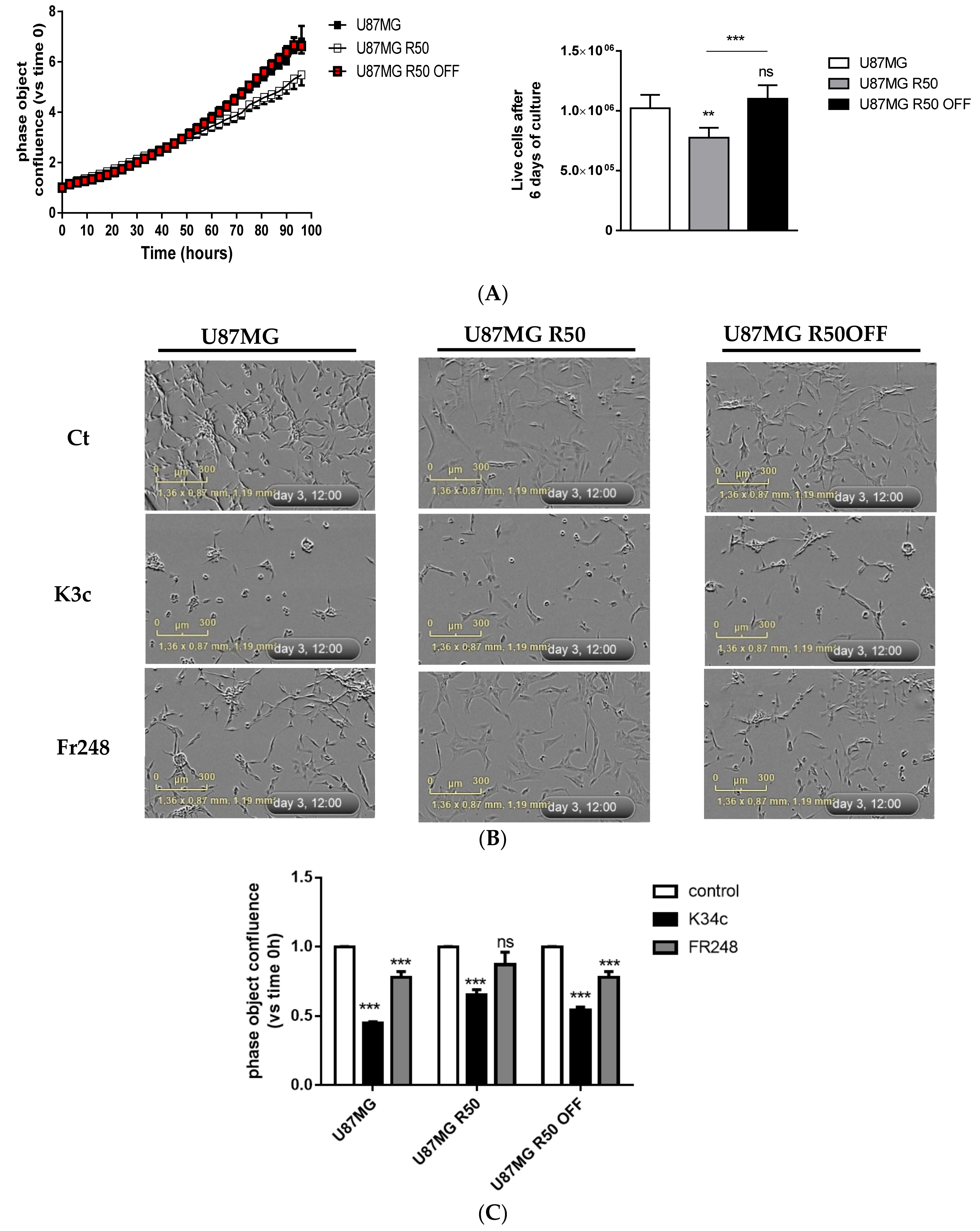 Cancers 14 00369 g005