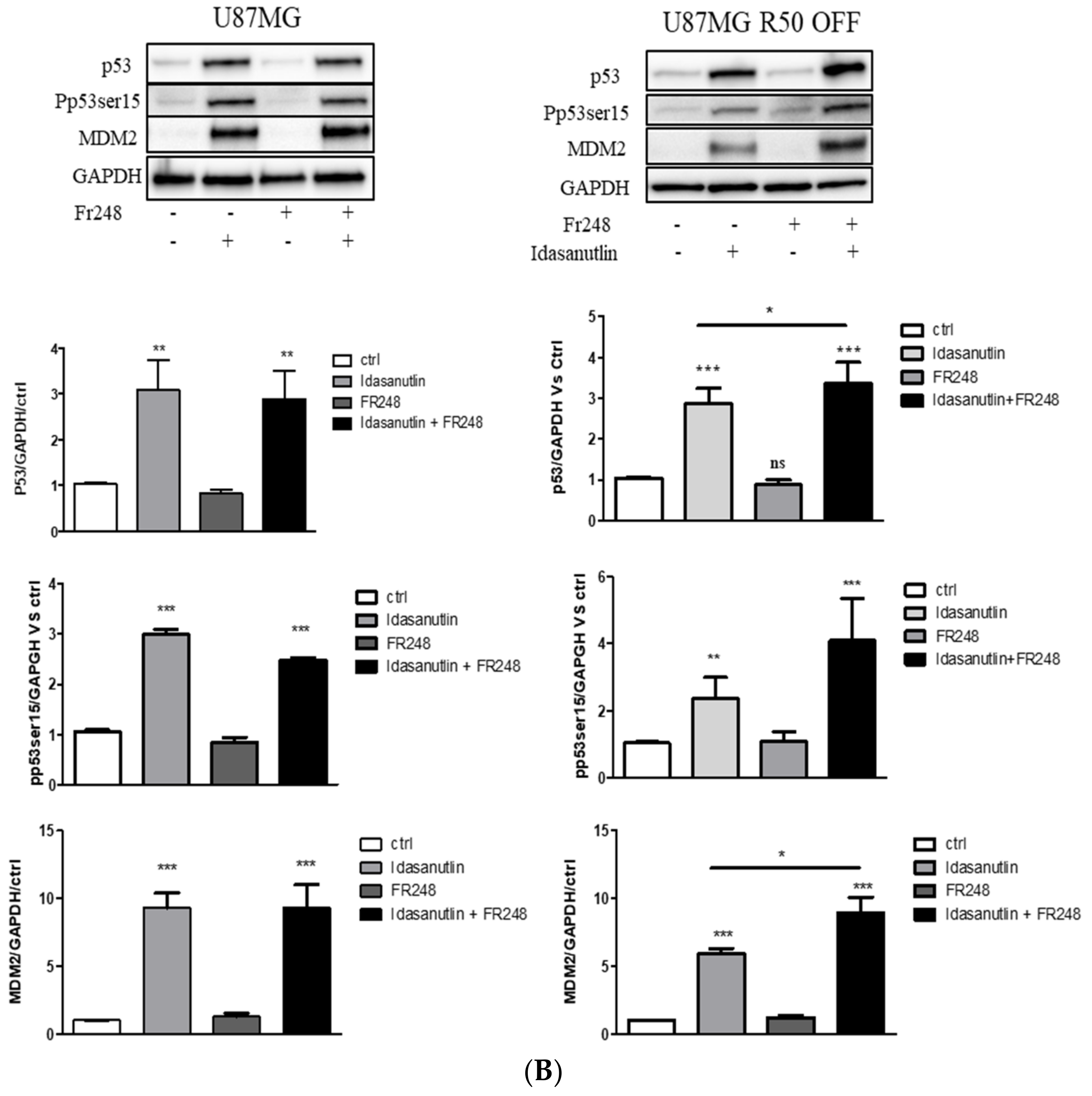 Cancers 14 00369 g008b