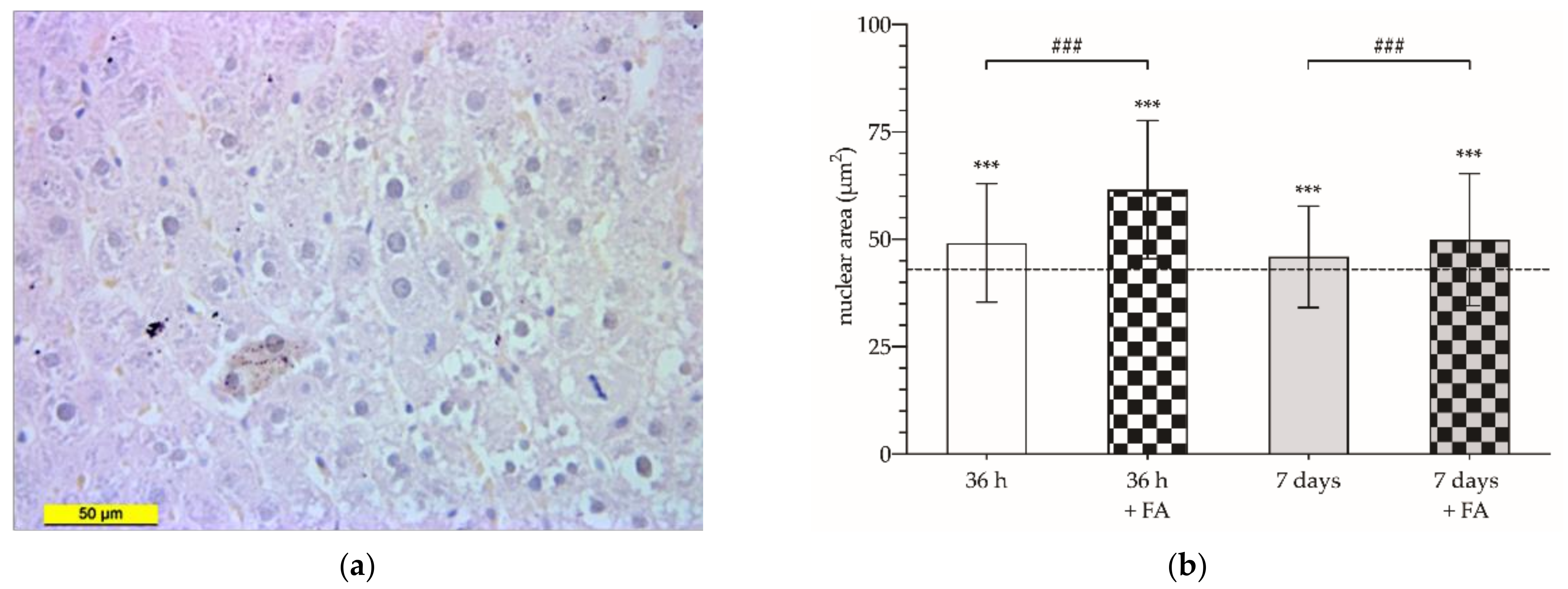 Cancers 14 00371 g005