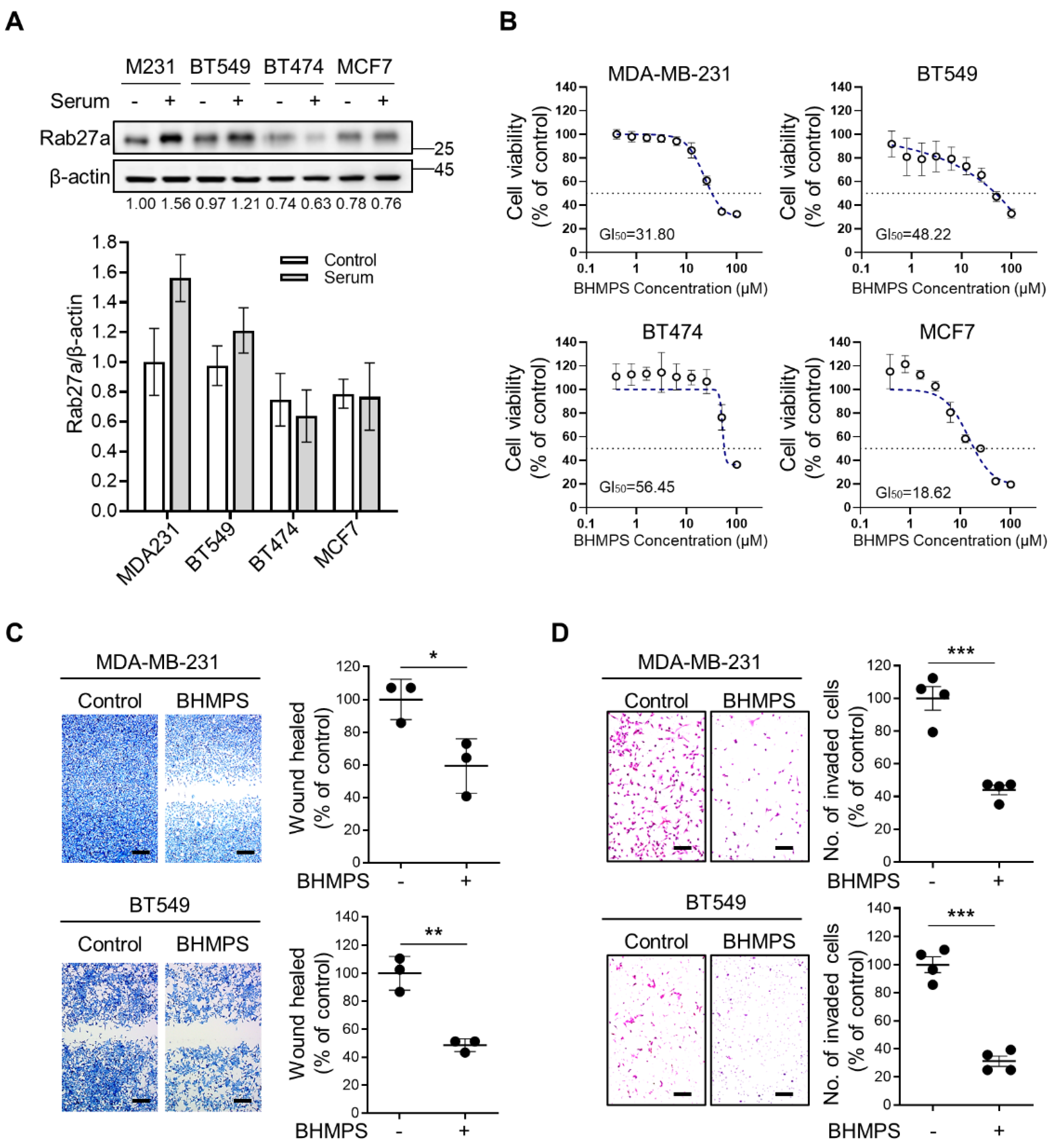 Cancers Free Full-Text BHMPS Inhibits Breast Cancer Migration and Invasion by Disrupting Rab27a-Mediated EGFR and Fibronectin Secretion