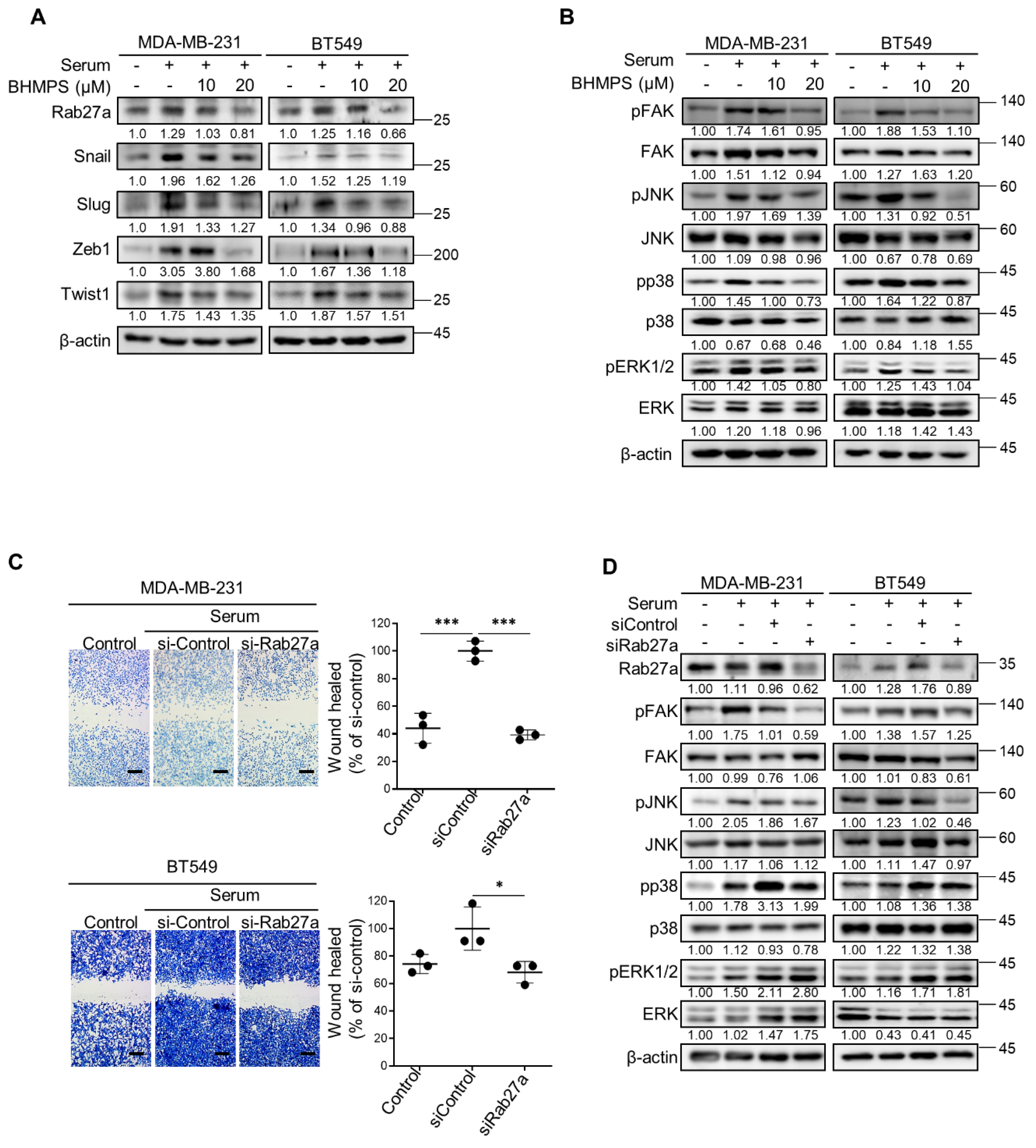 Cancers 14 00373 g002