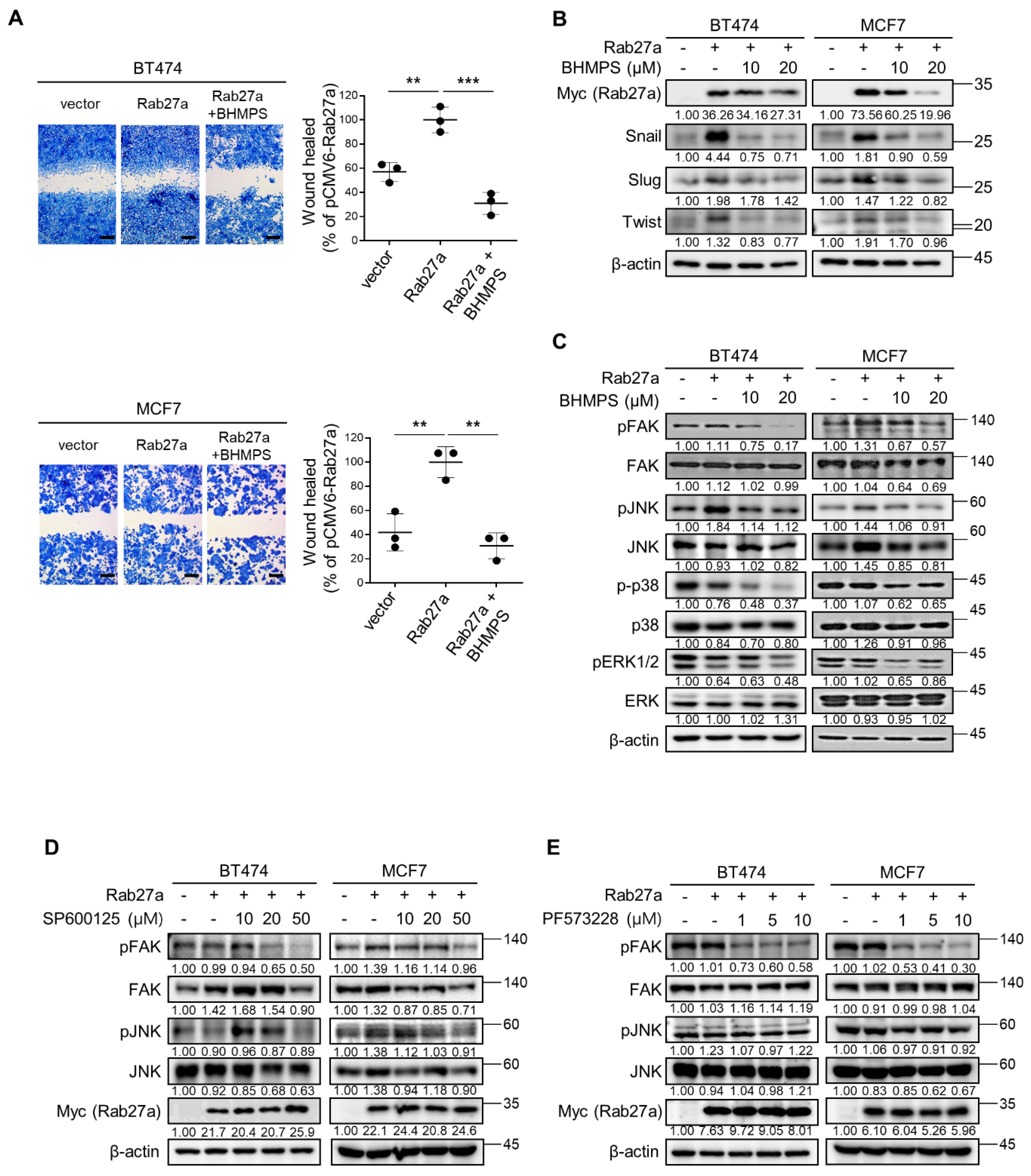 Cancers 14 00373 g003