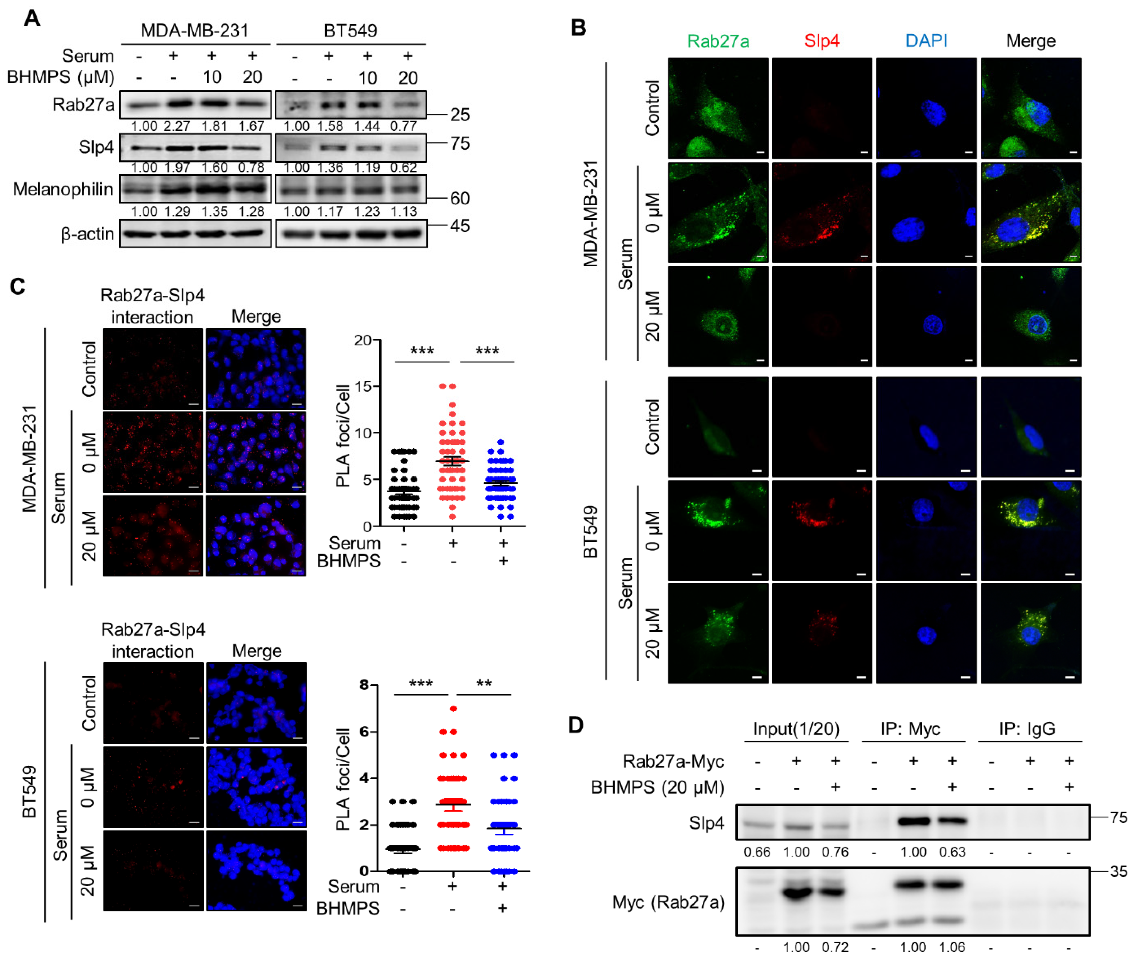 Cancers 14 00373 g004