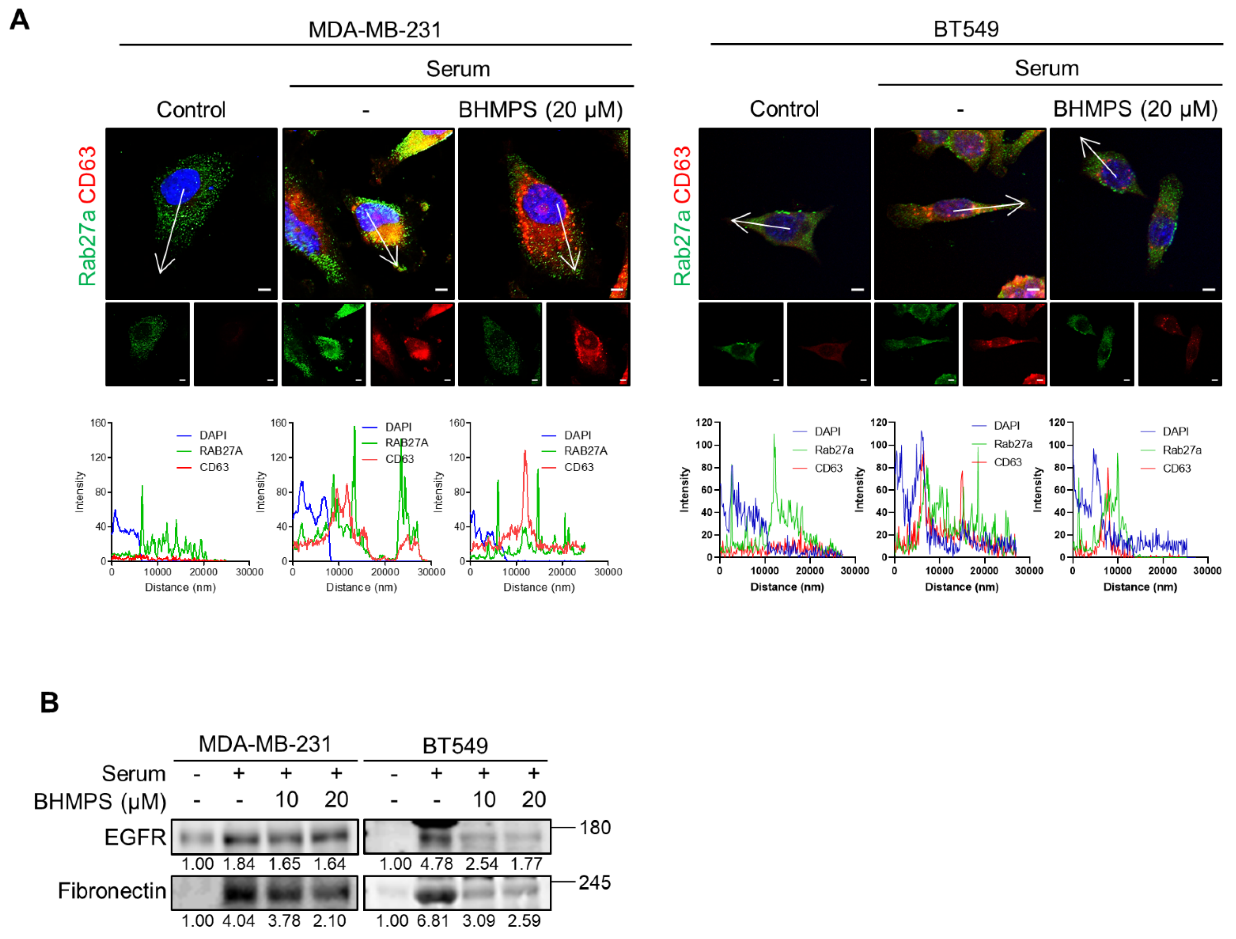 Cancers 14 00373 g005