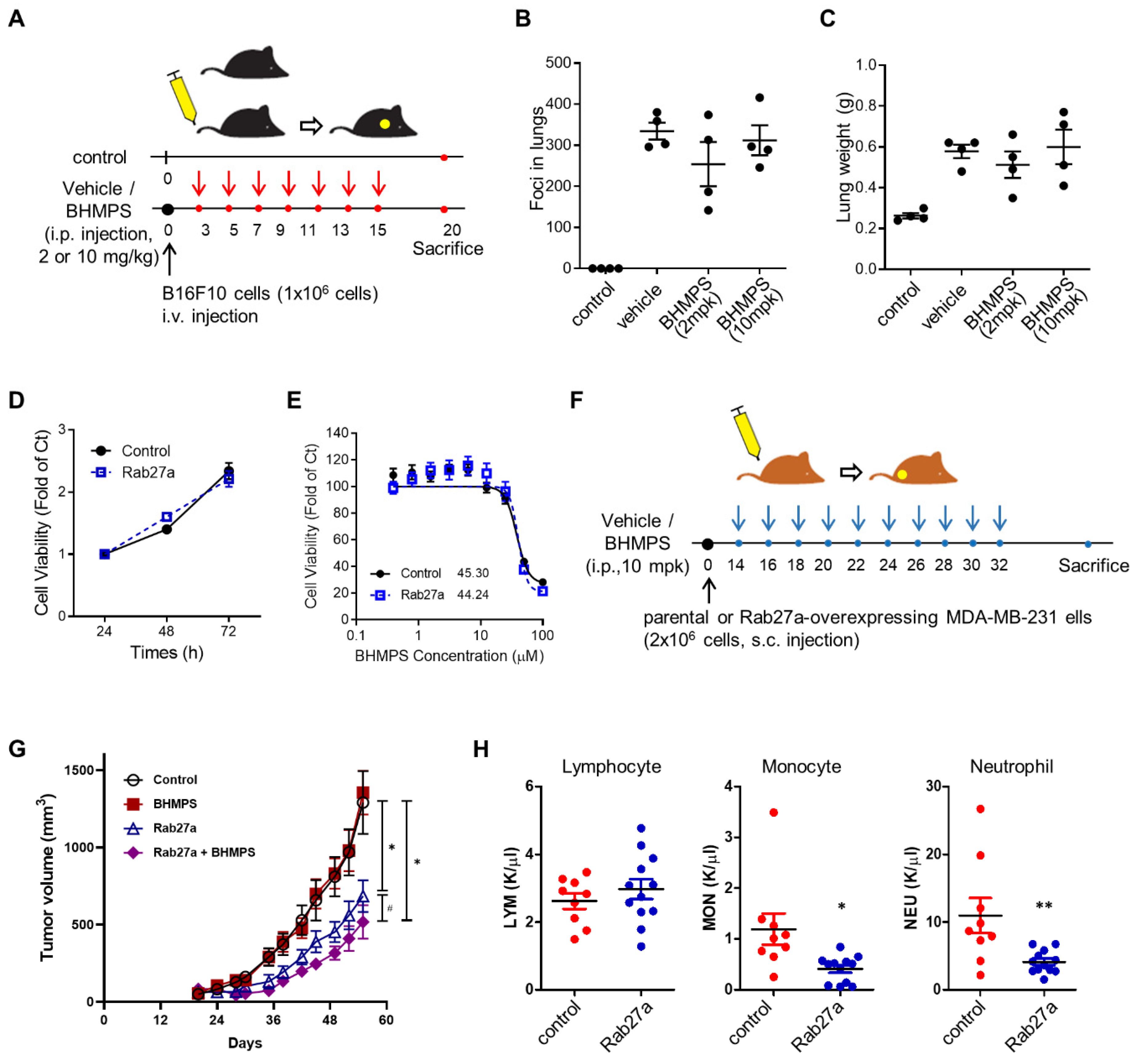 Cancers 14 00373 g006