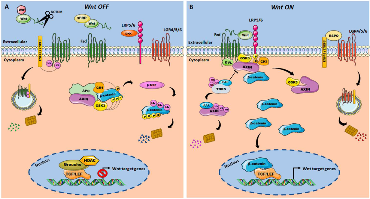 Cancers 14 00403 g001 Cancers 14 00403 g001