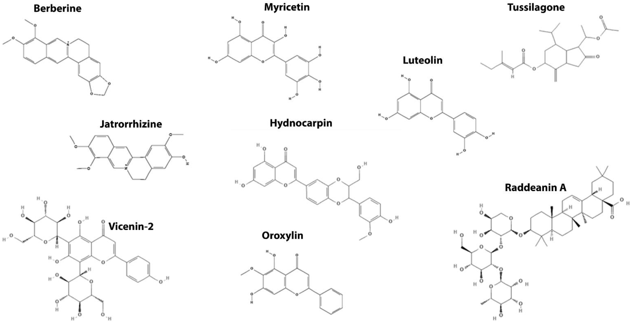 Cancers 14 00403 g004 Cancers 14 00403 g004