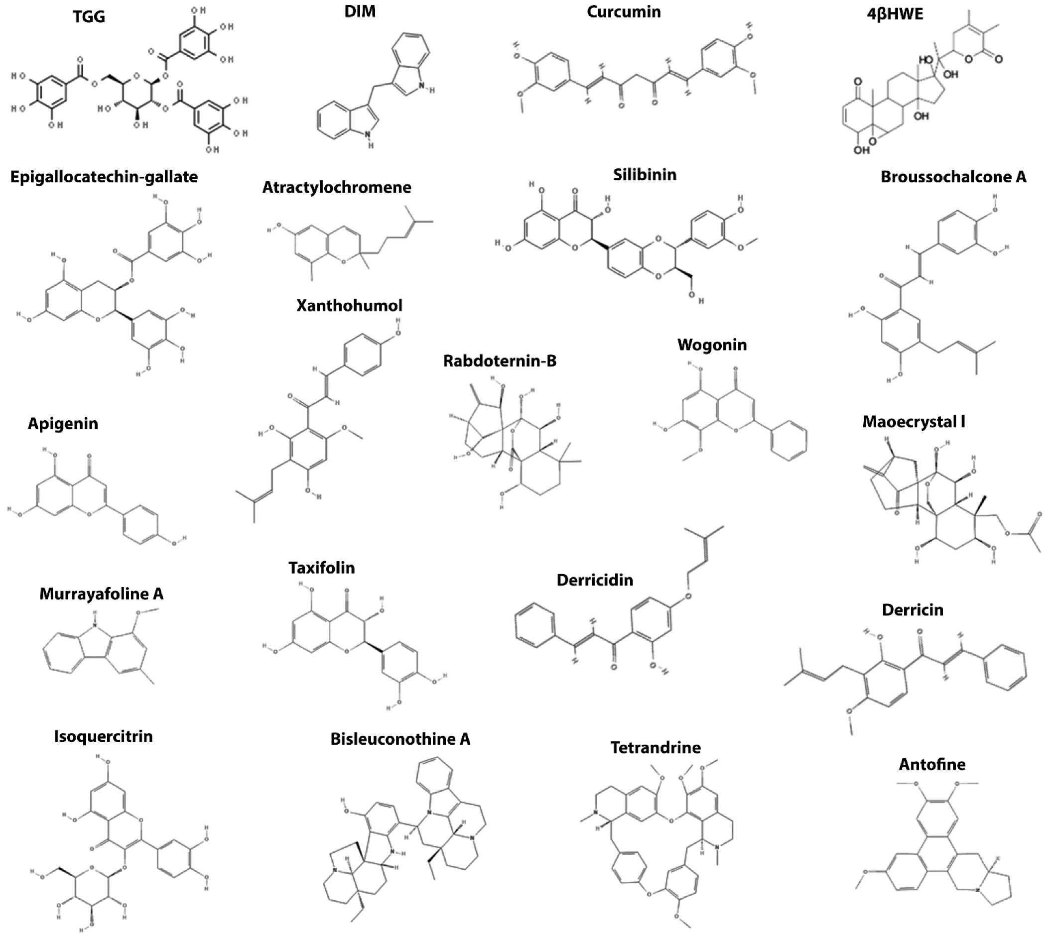 Cancers 14 00403 g005 Cancers 14 00403 g005