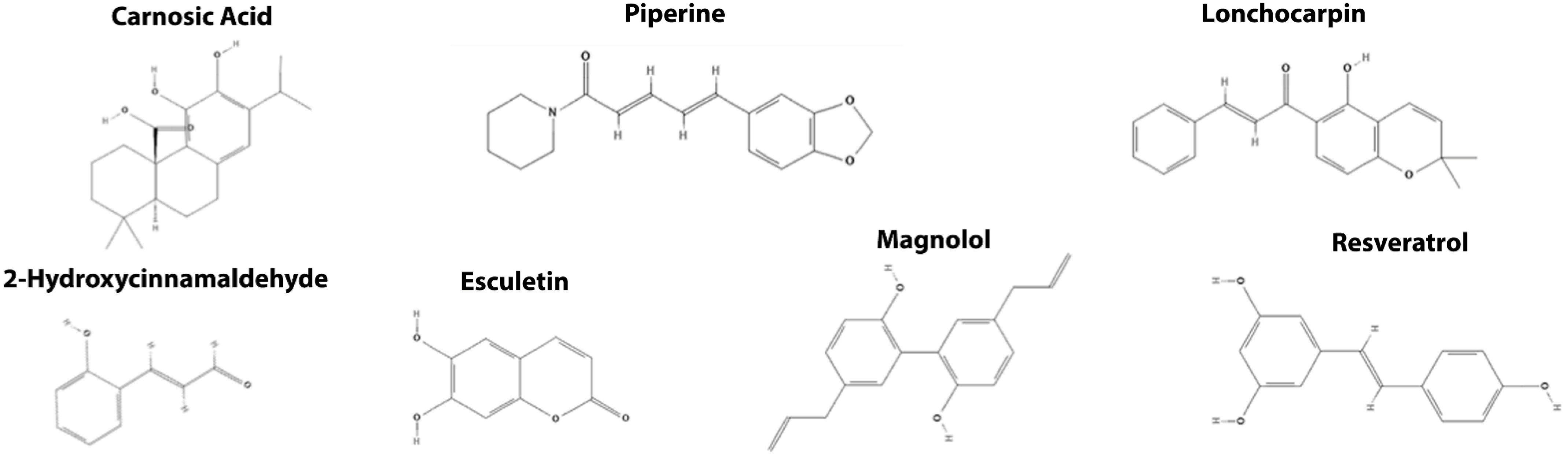 Cancers 14 00403 g006 Cancers 14 00403 g006