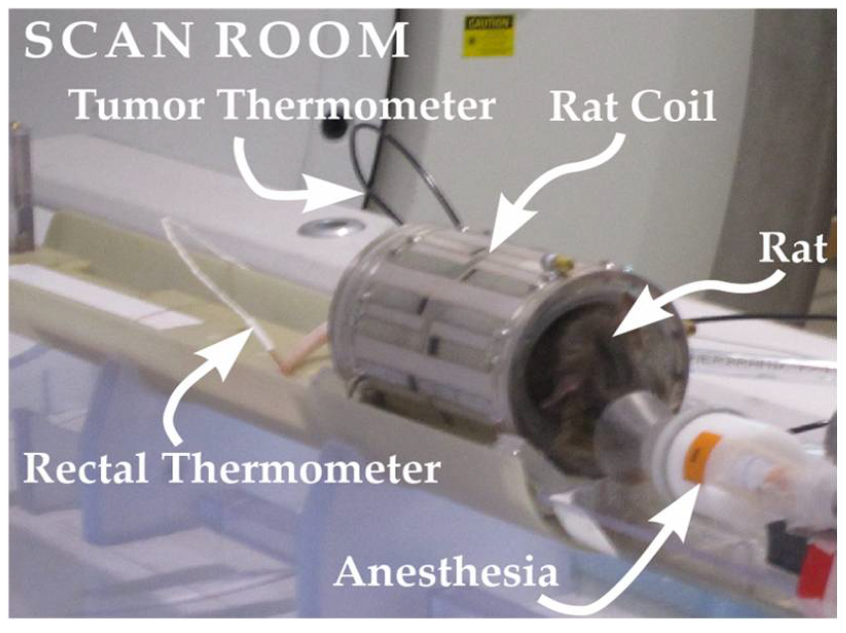 Cancers 14 00405 g001 550