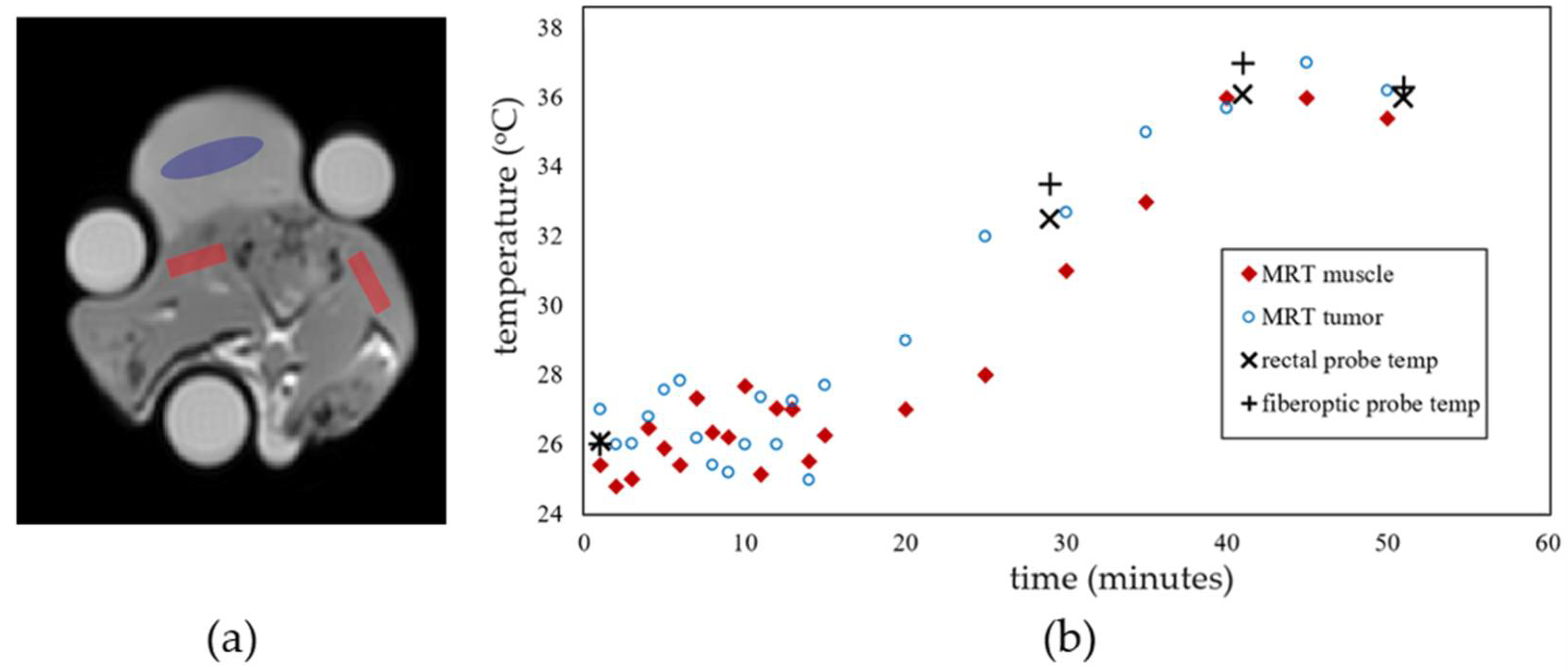 Cancers 14 00405 g003 550