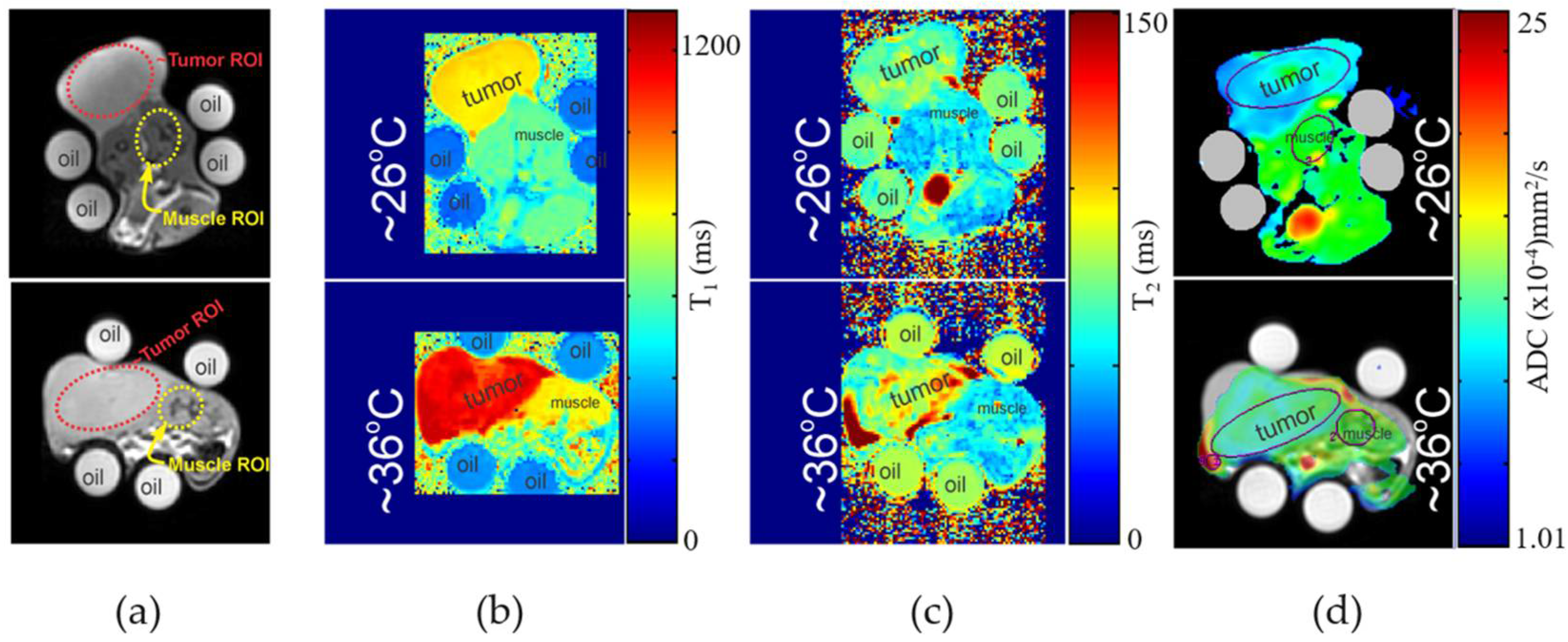 Cancers 14 00405 g004 550