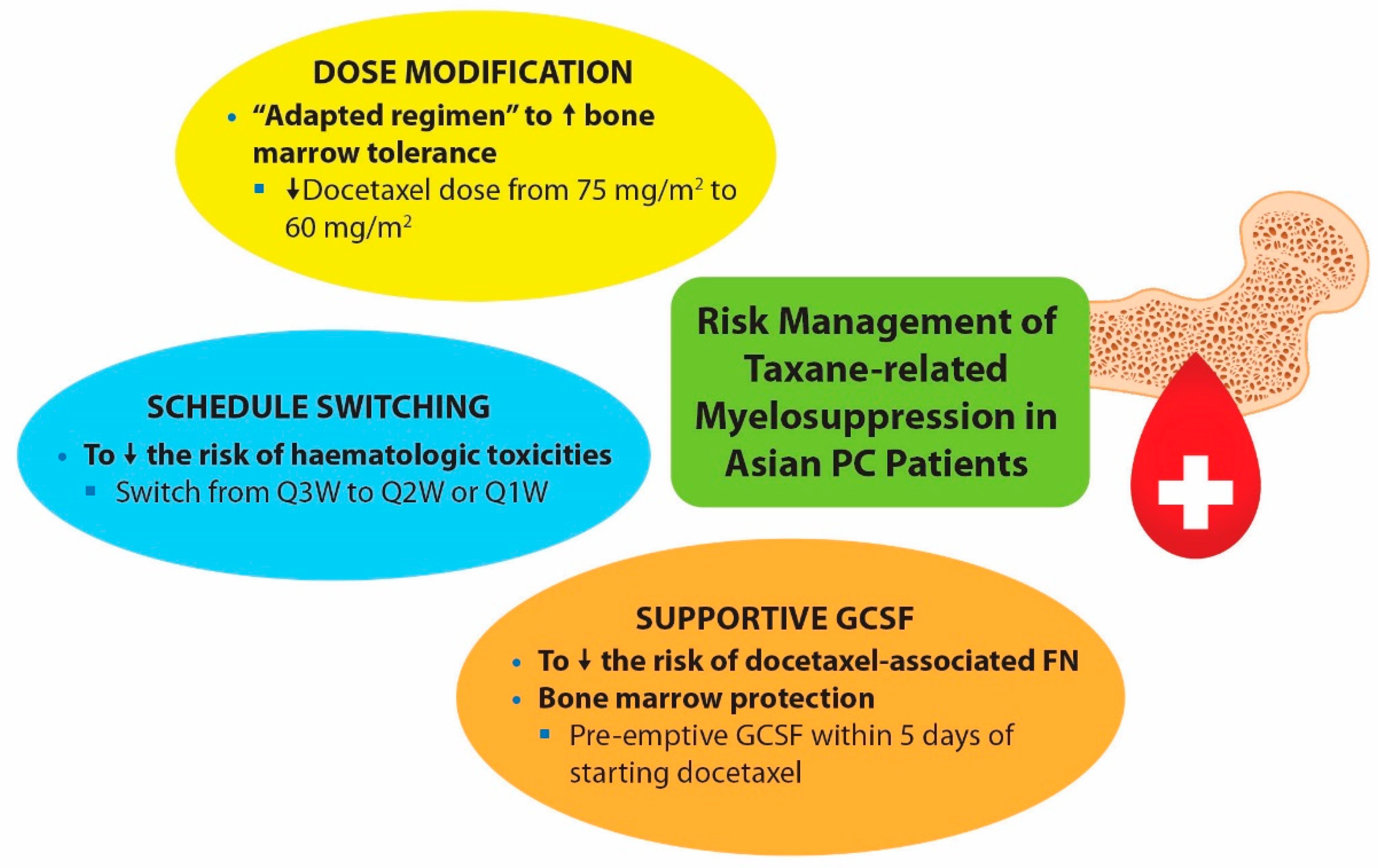 Cancers 14 00407 g002 Cancers 14 00407 g002