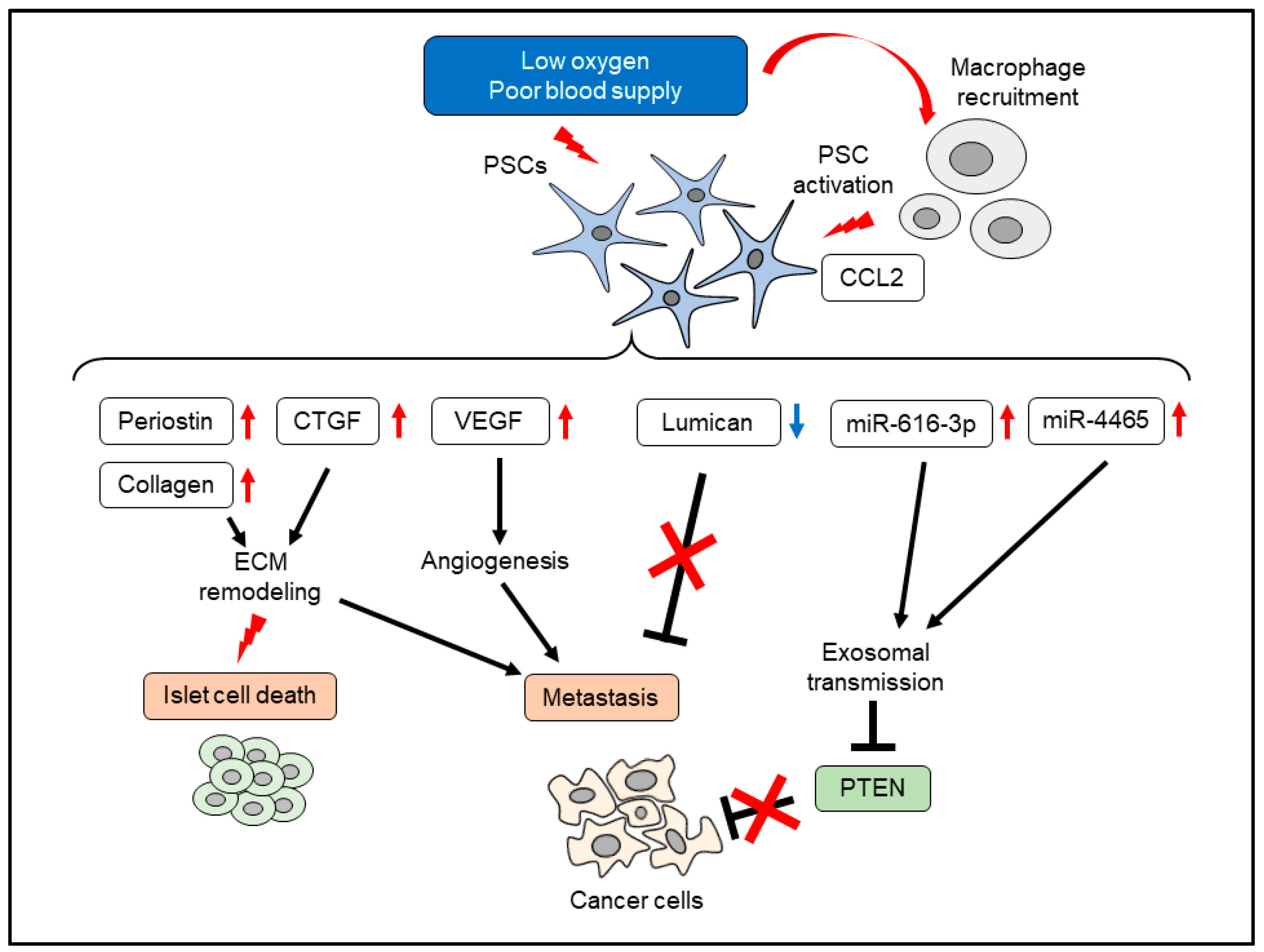 Cancers 14 00411 g002 550