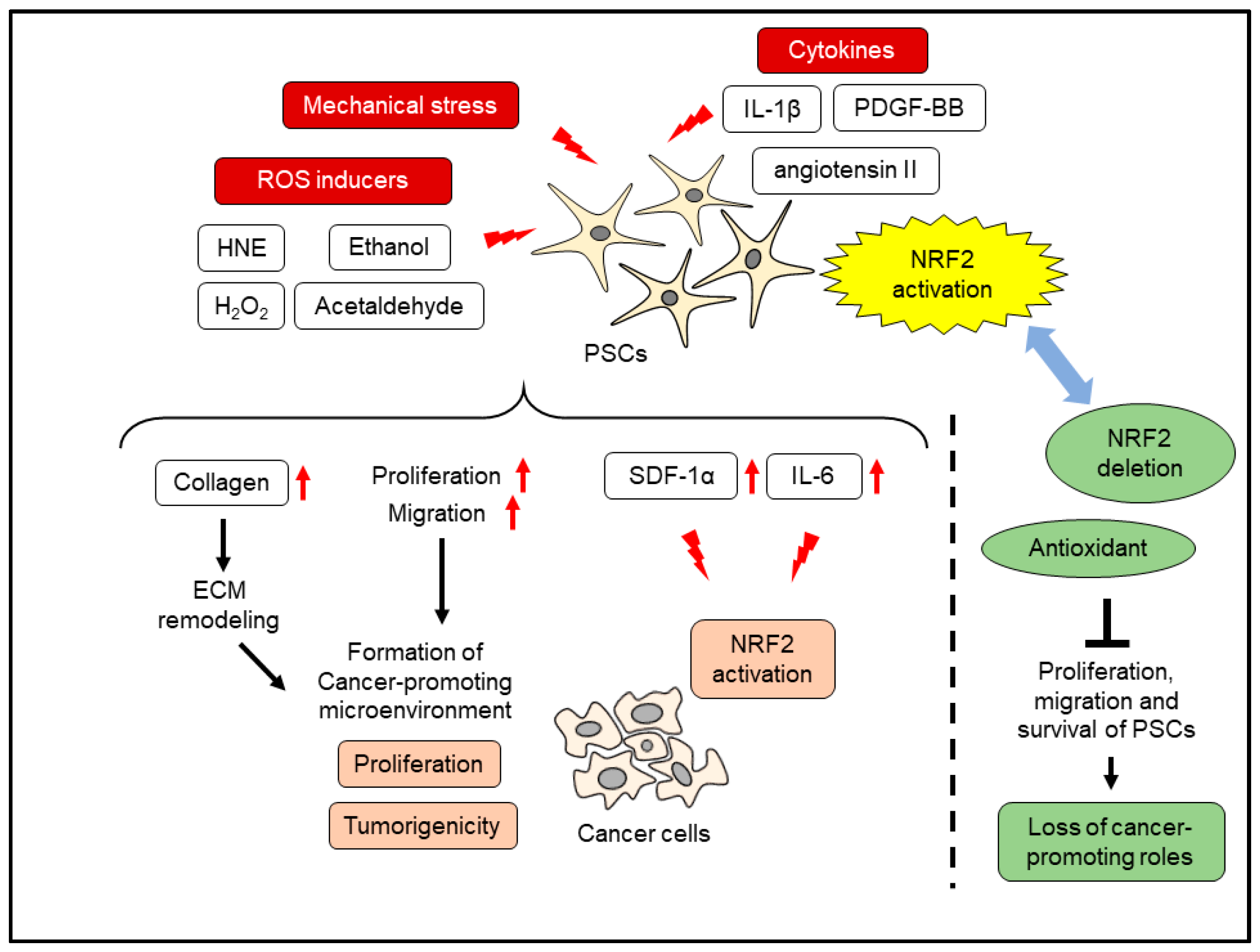 Cancers 14 00411 g005 550