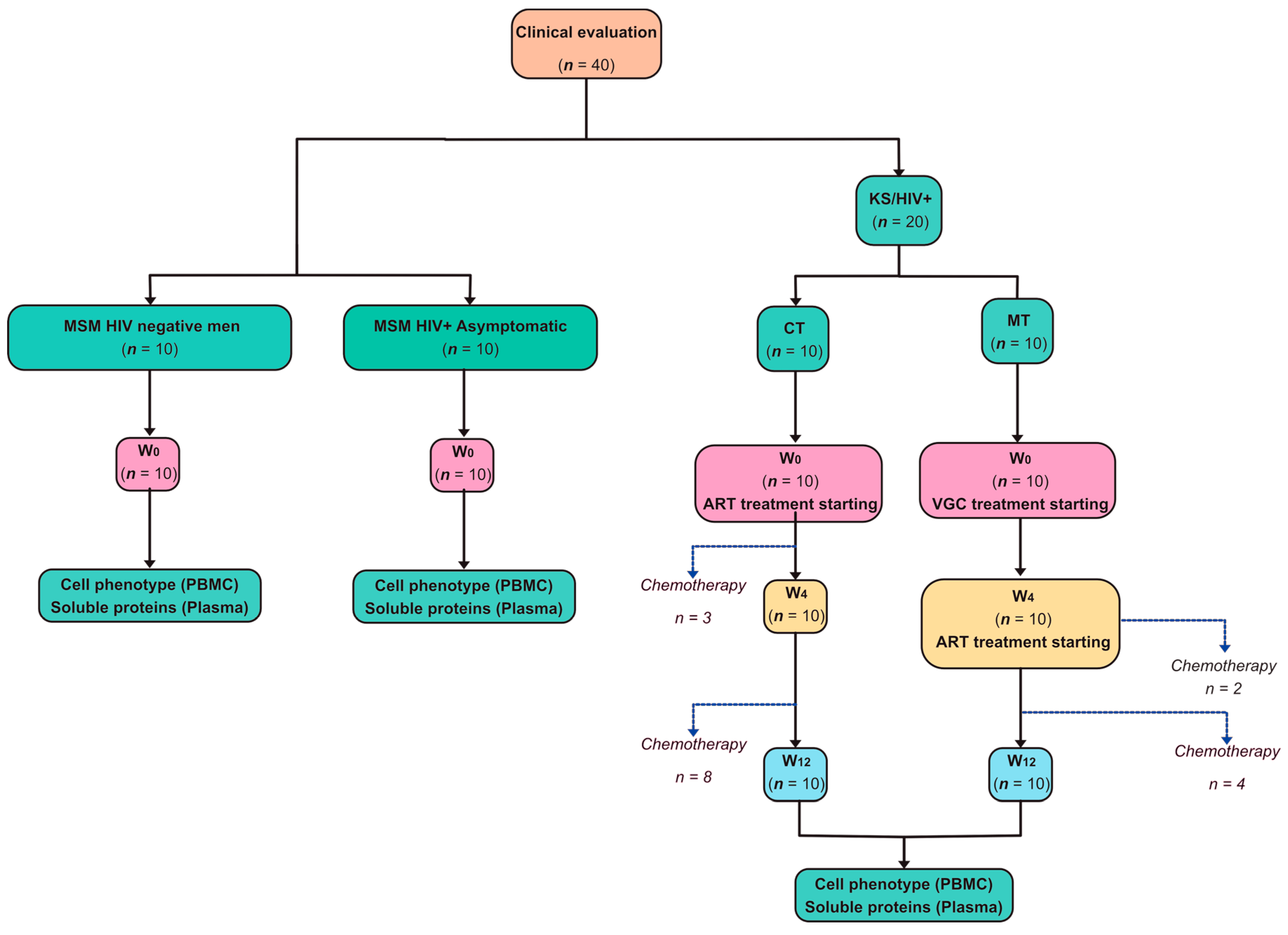 Cancers 14 00412 g002