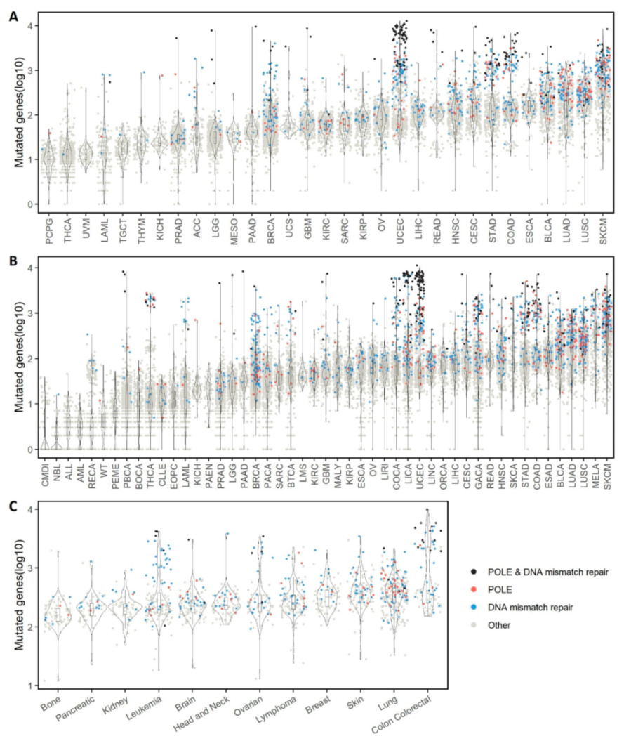 Cancers 14 00415 g001