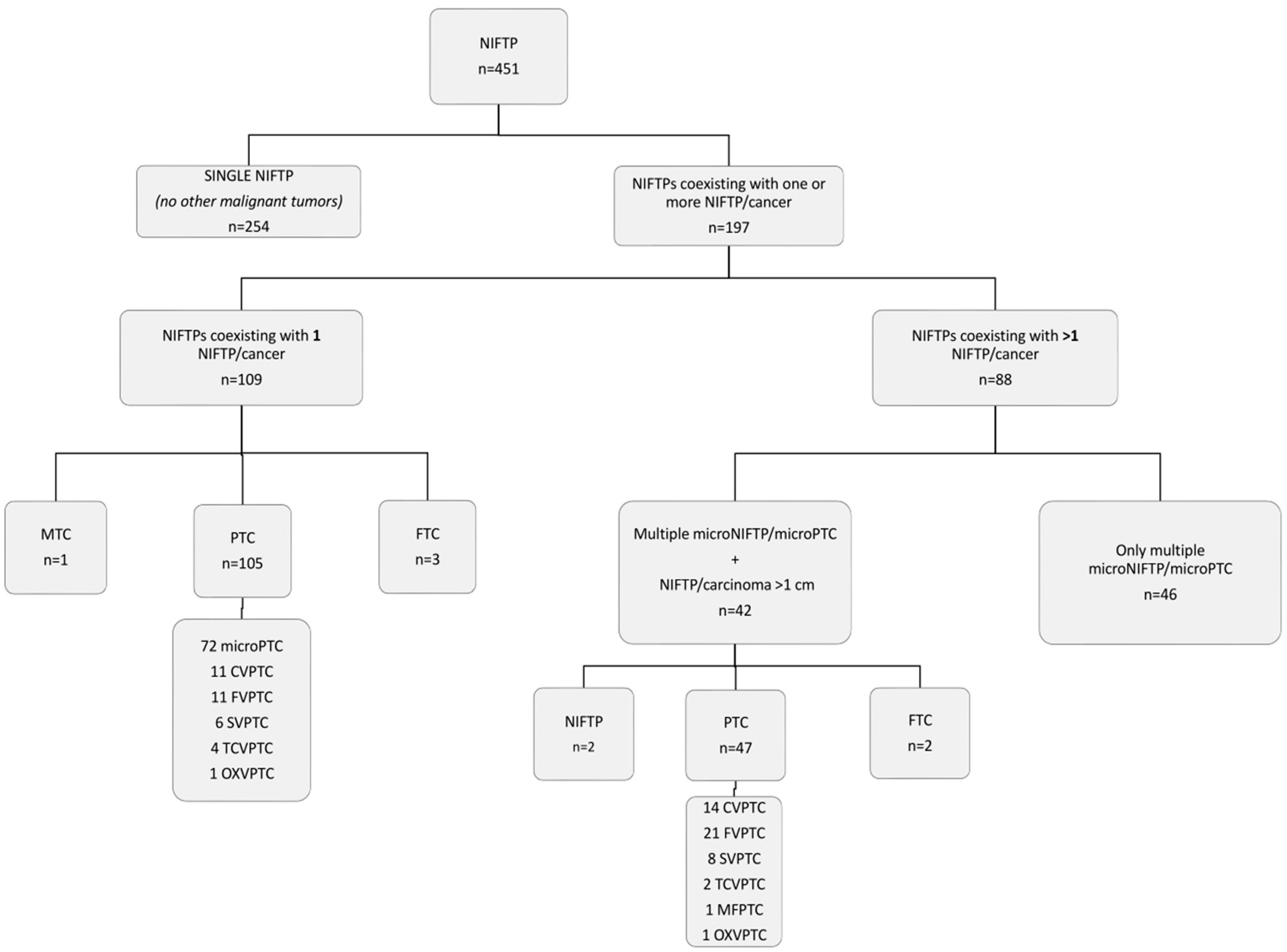 Cancers 14 00420 g002