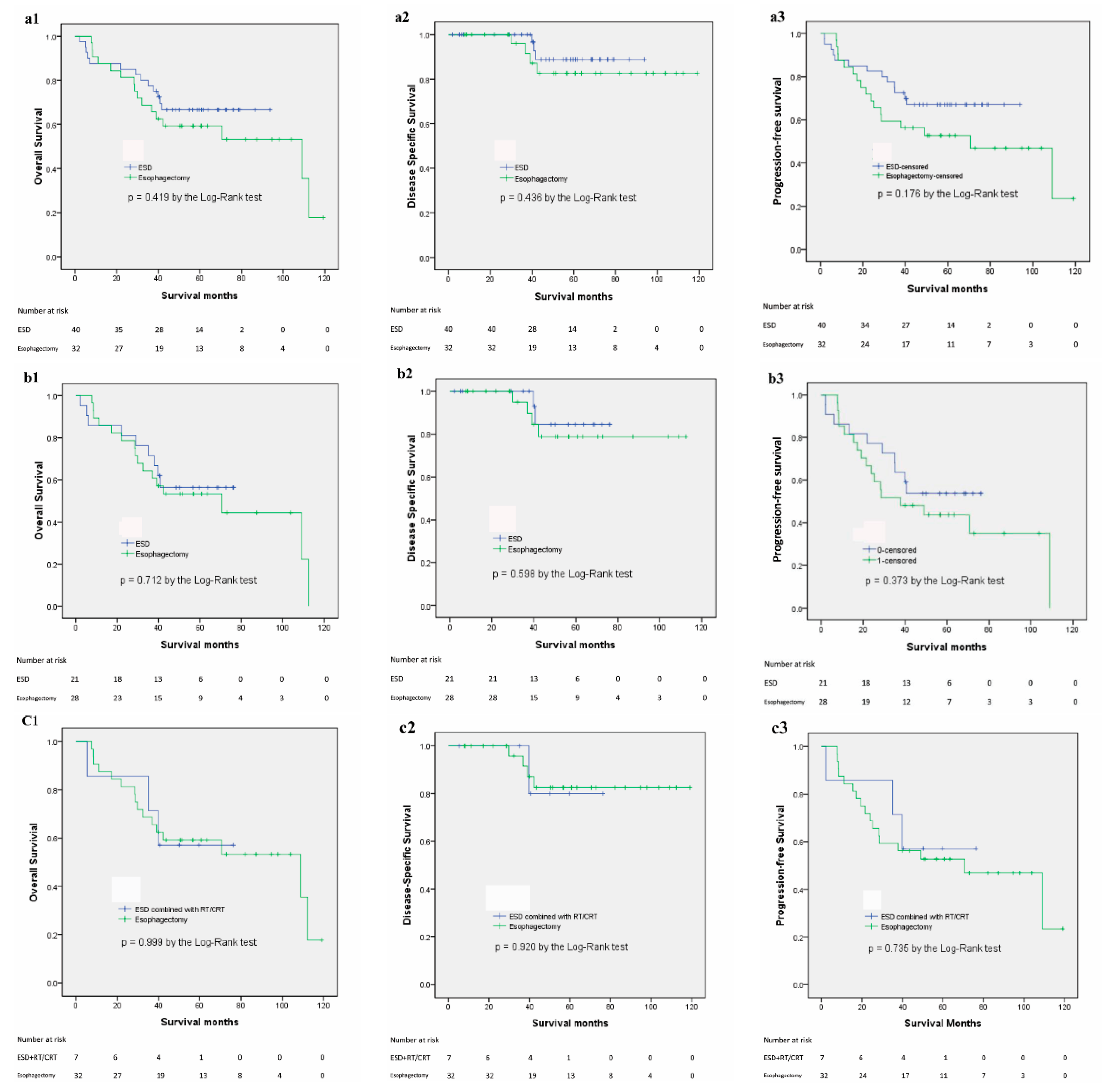 Cancers 14 00424 g002 Cancers 14 00424 g002