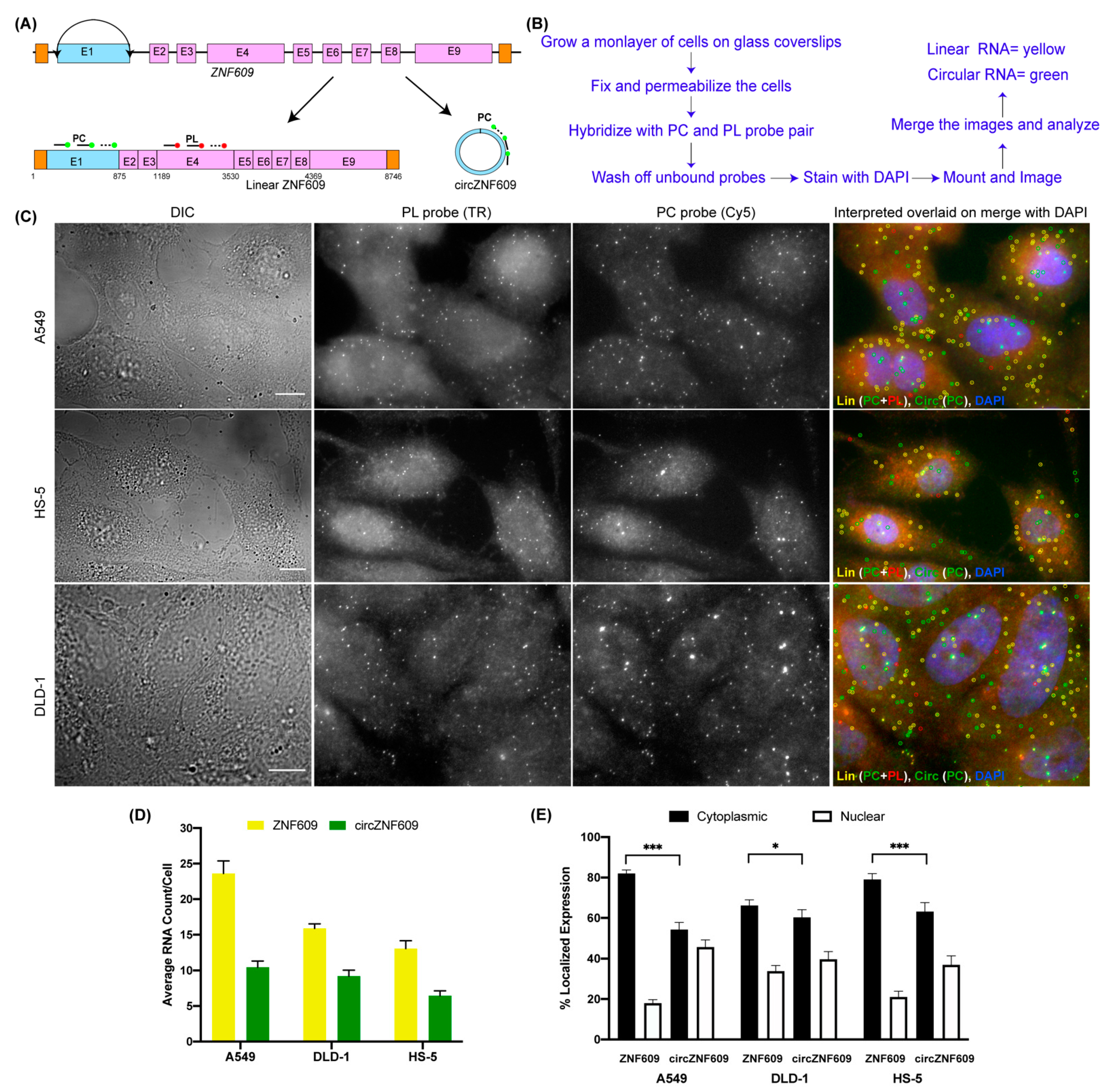 Cancers 14 00428 g001