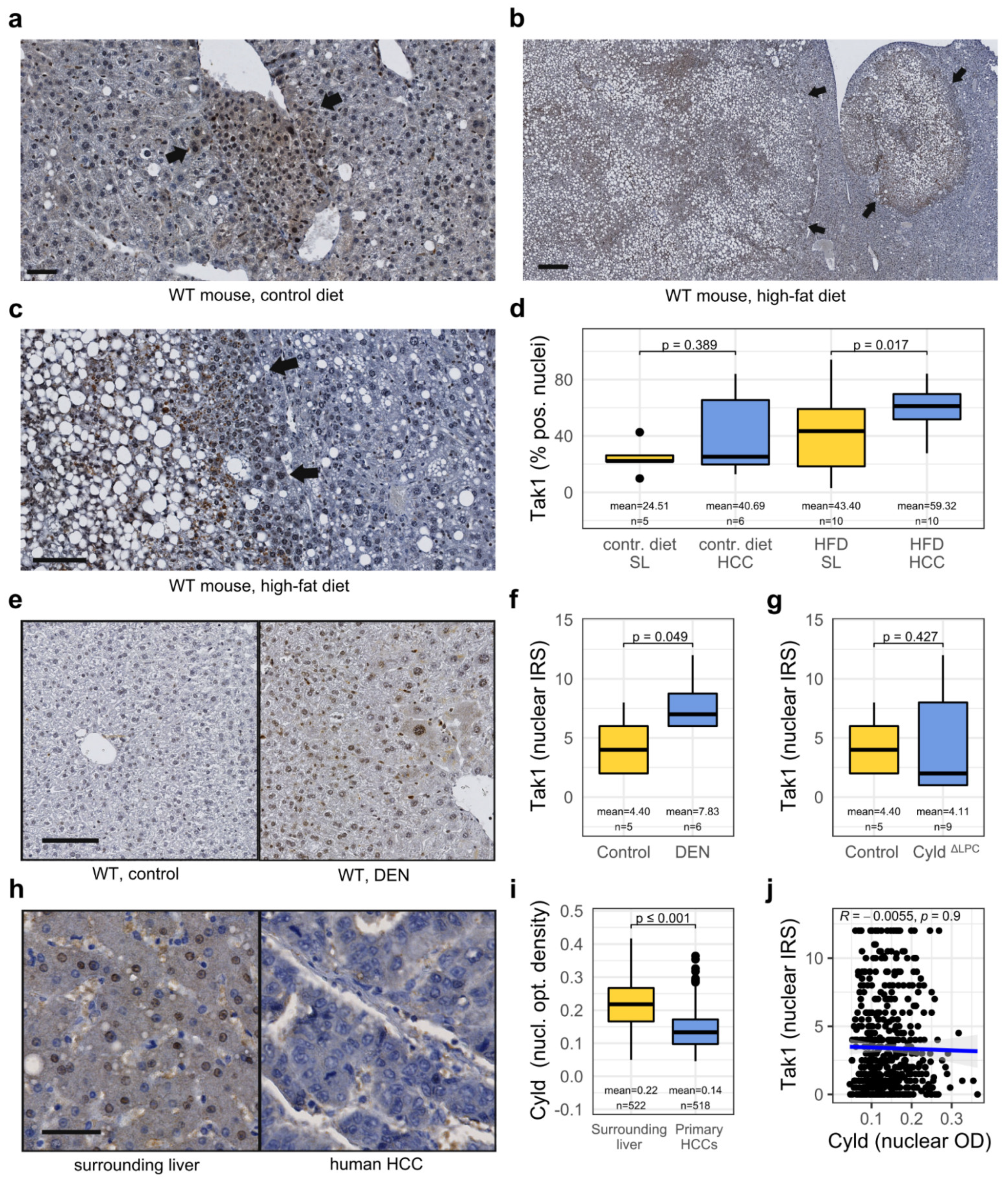 Cancers 14 00430 g002 Cancers 14 00430 g002