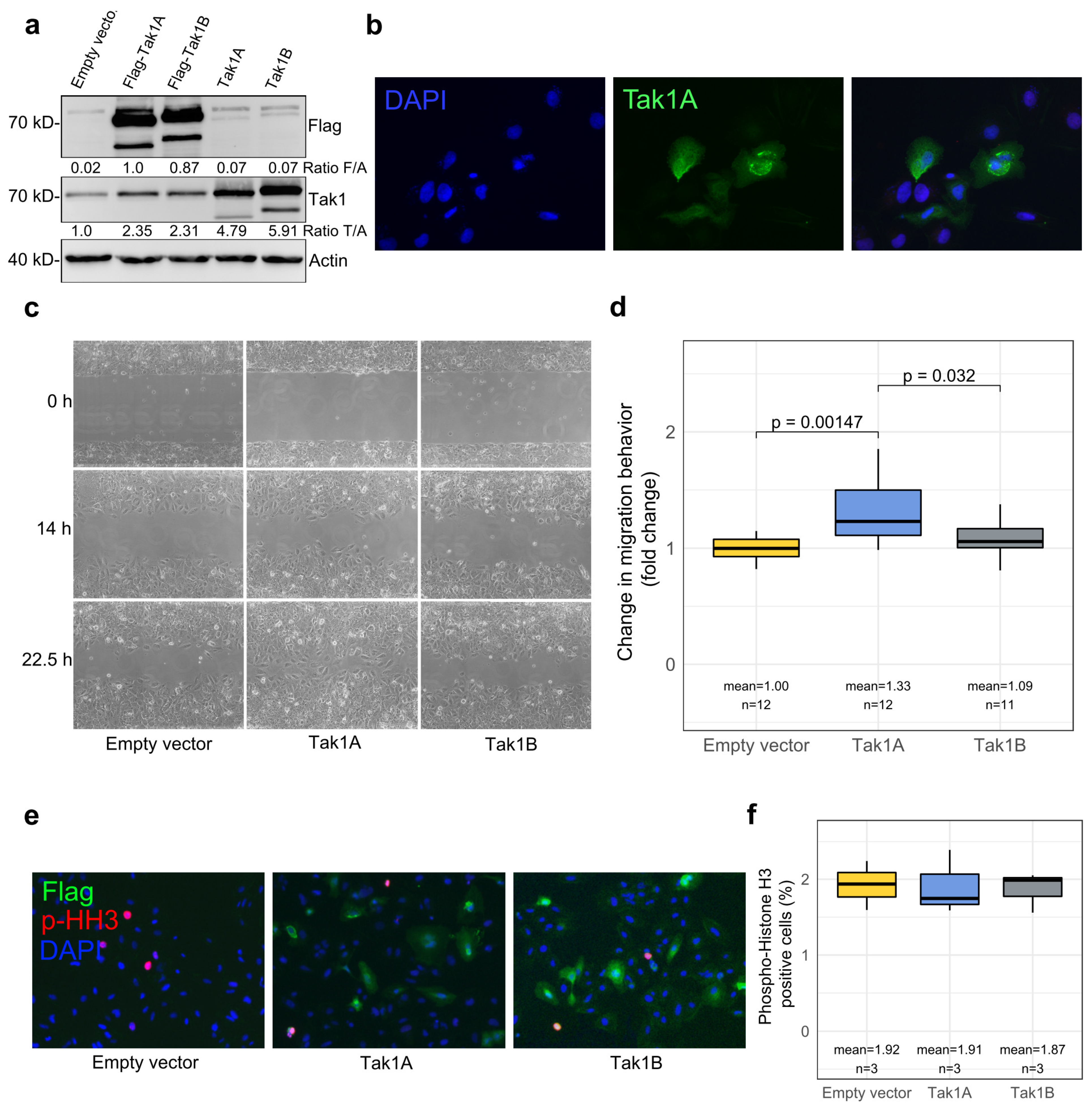 Cancers 14 00430 g003 Cancers 14 00430 g003