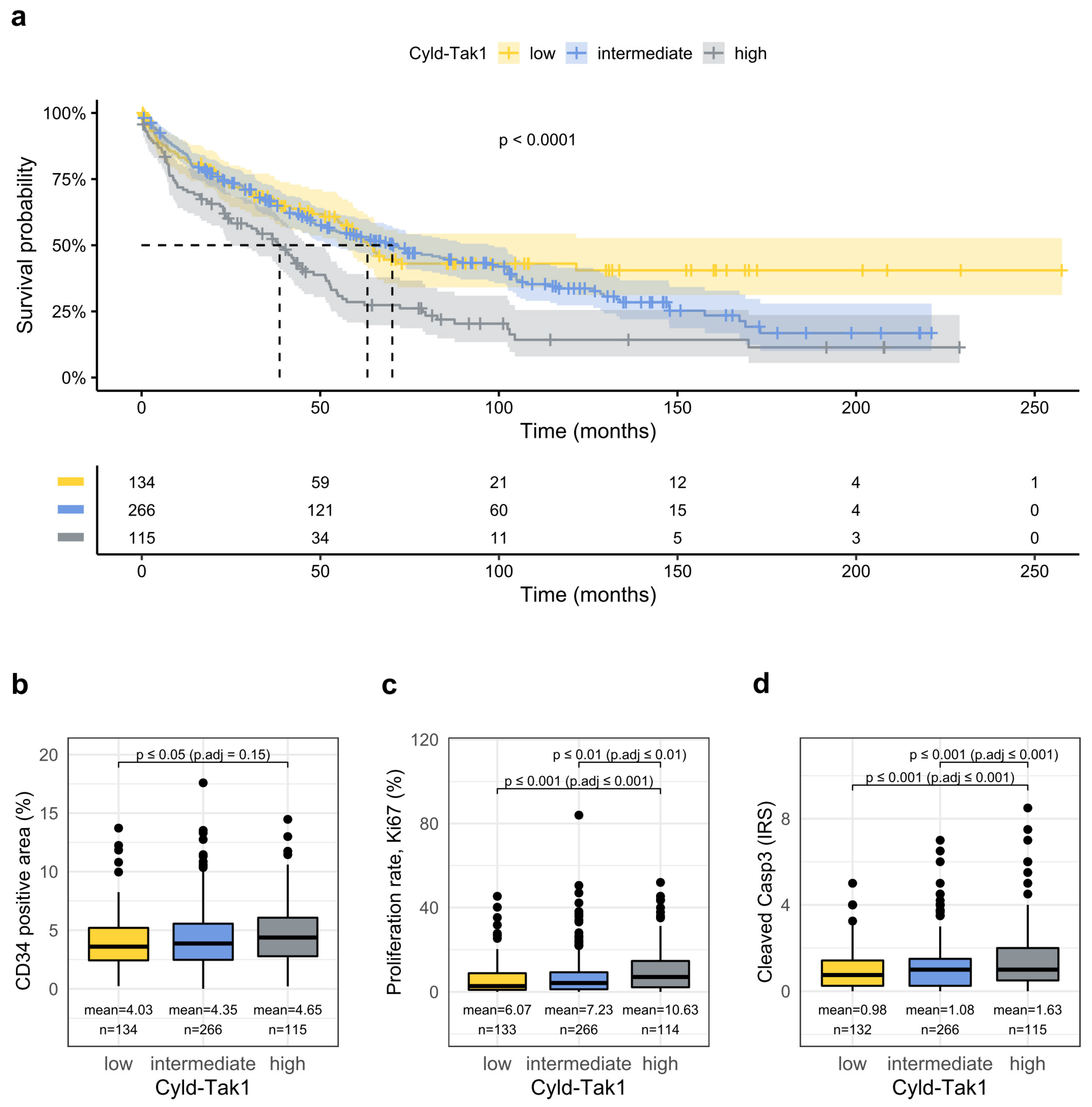 Cancers 14 00430 g005 Cancers 14 00430 g005